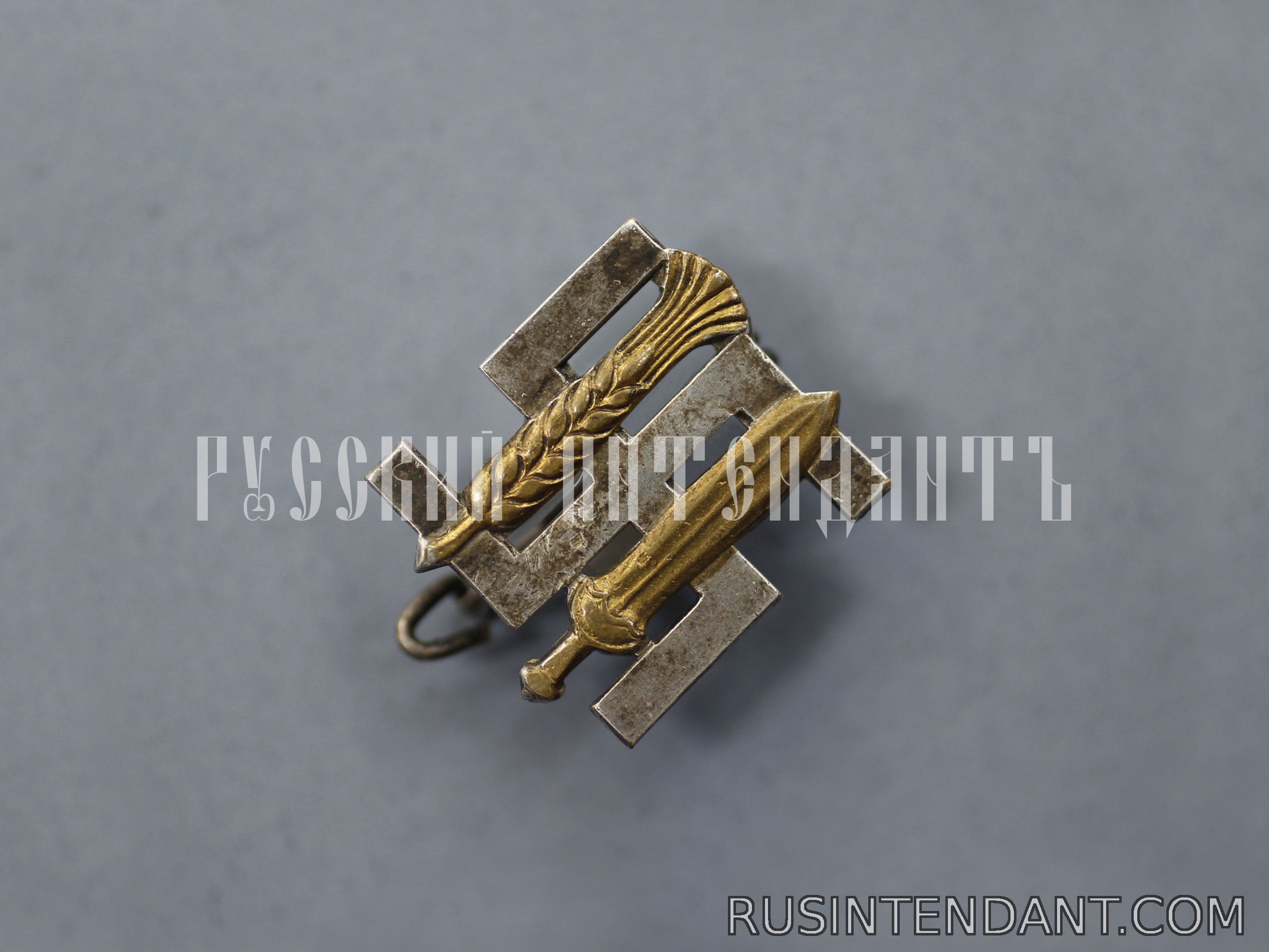 Фото 1: Членский знак RNSt 