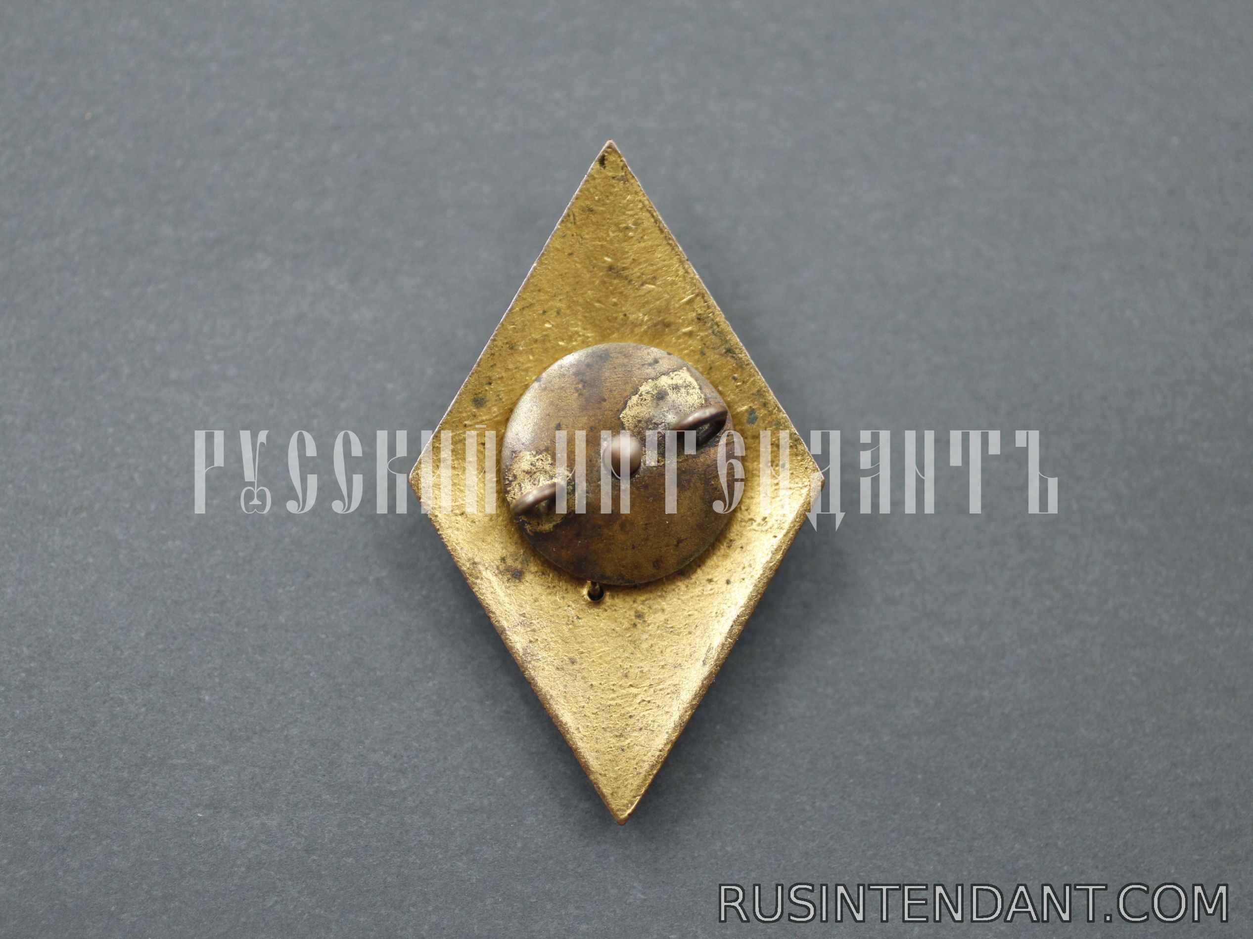 Фото 2: Знак «Государственная лесная охрана СССР Х лет» 