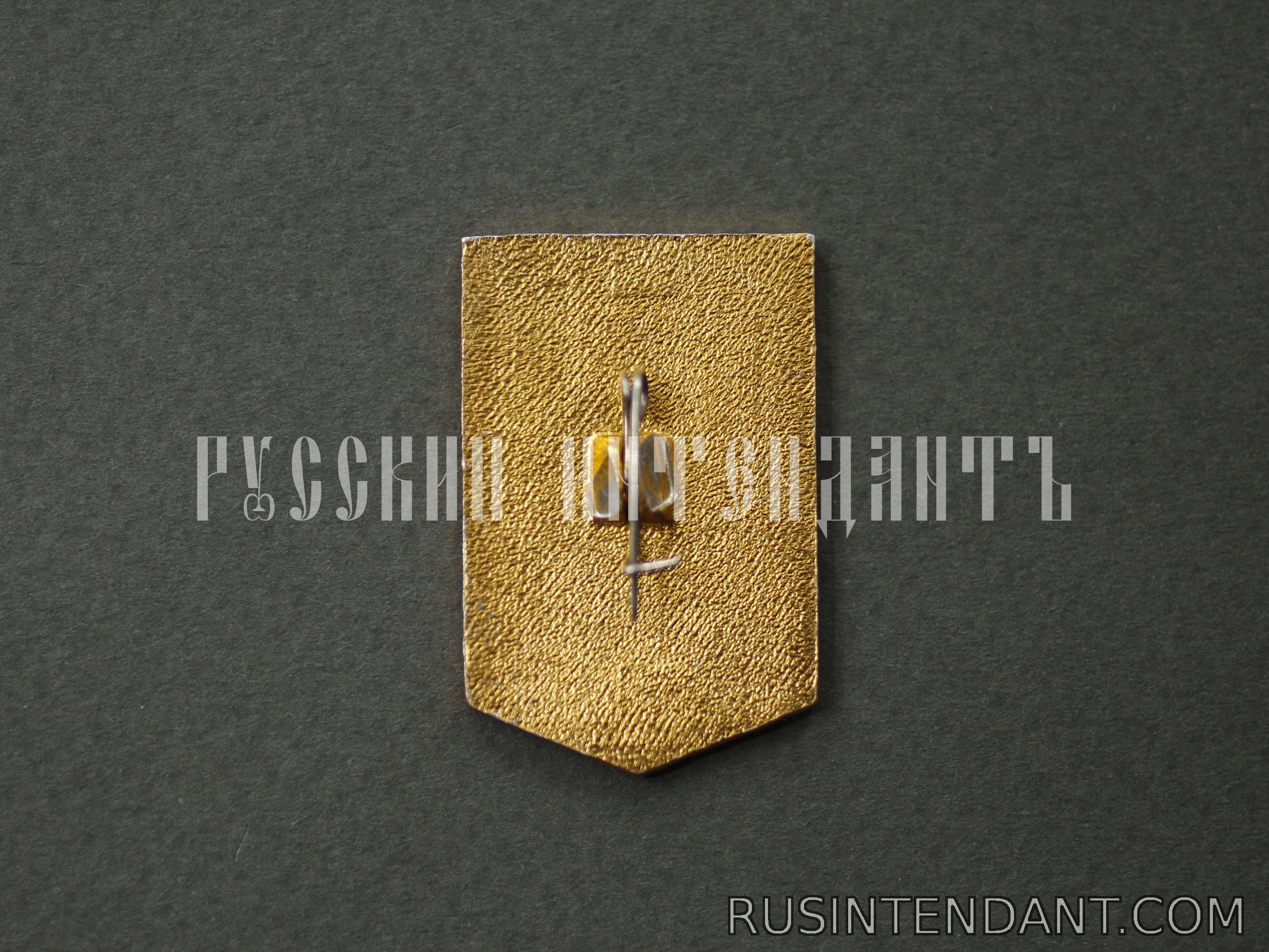 Фото 2: Знак «Ударник Коммунистического Труда» 