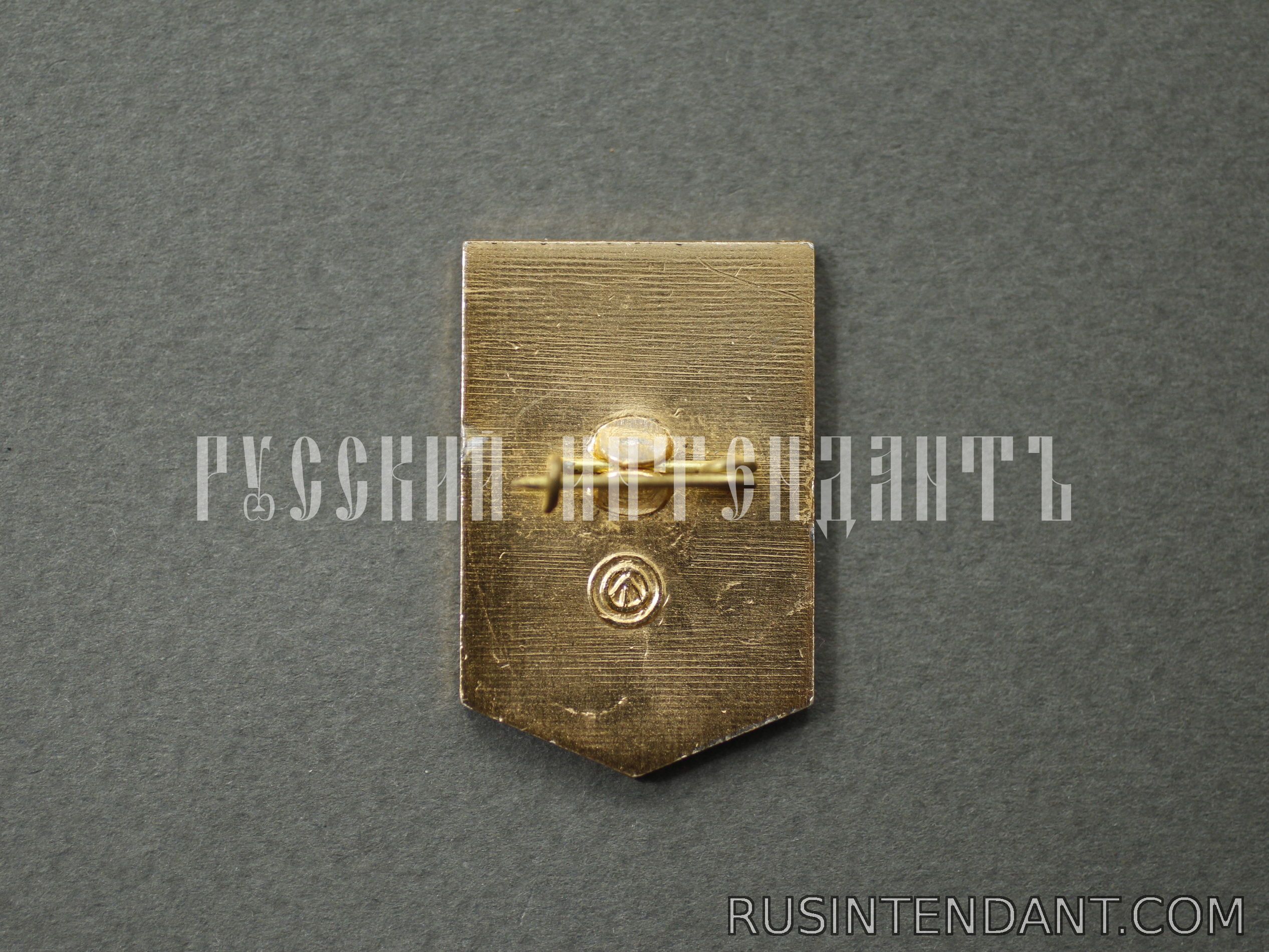 Фото 4: Знак «Ударник Коммунистического Труда» 