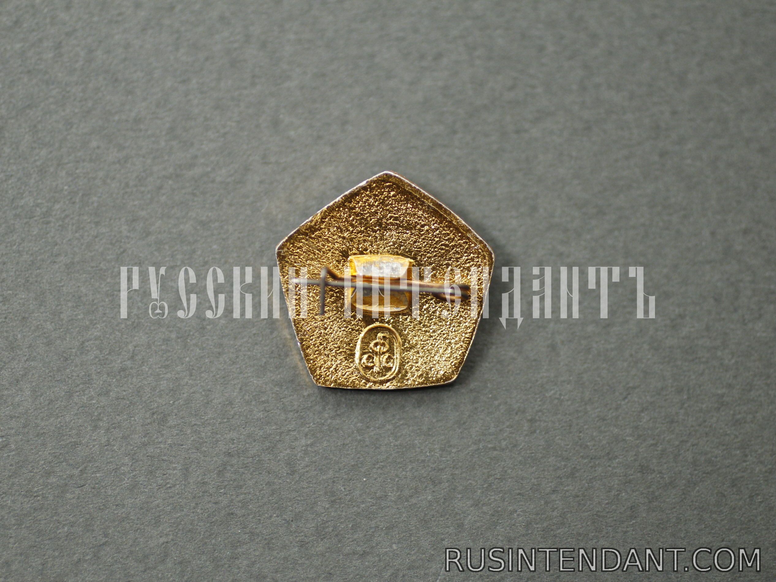Фото 2: Знак «Мастер умелец» 