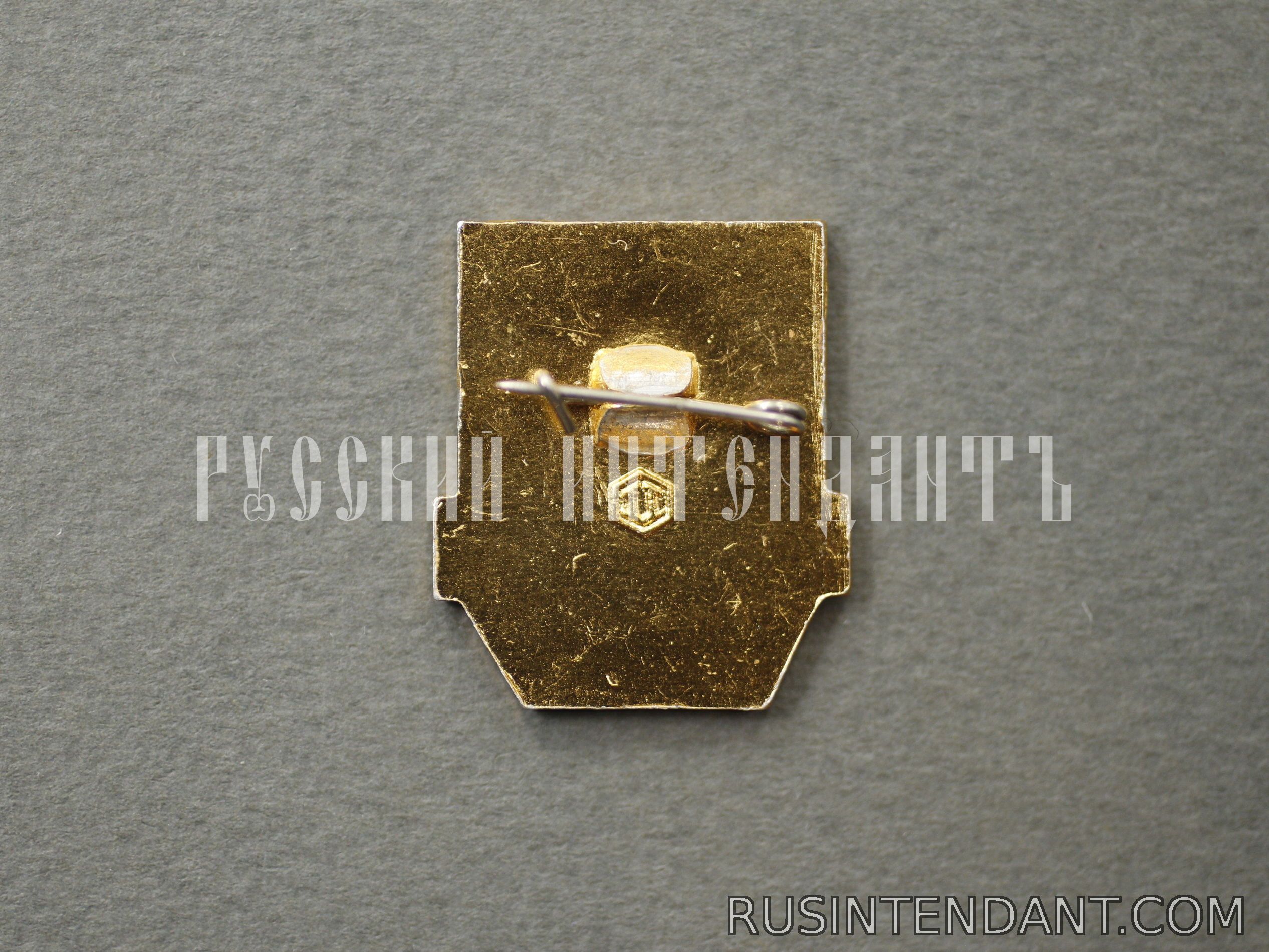 Фото 2: Знак «Дружинник» 