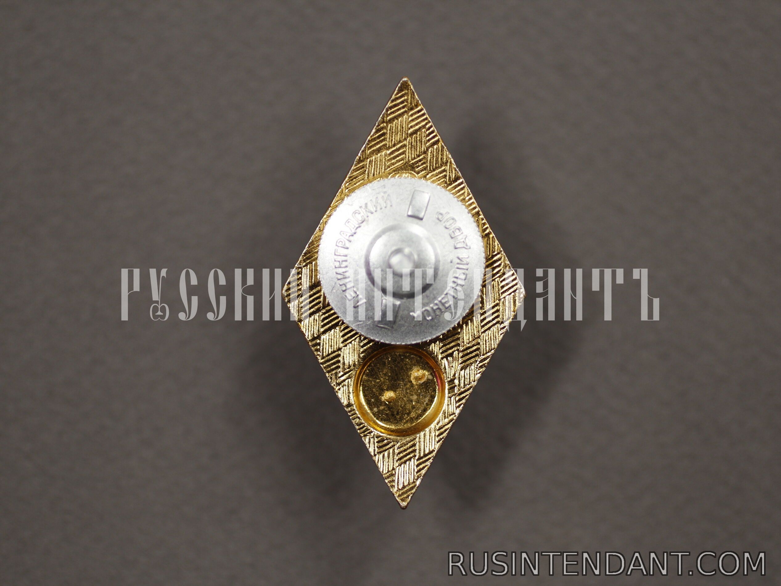 Фото 2: Знак Гуманитарный ВУЗ 