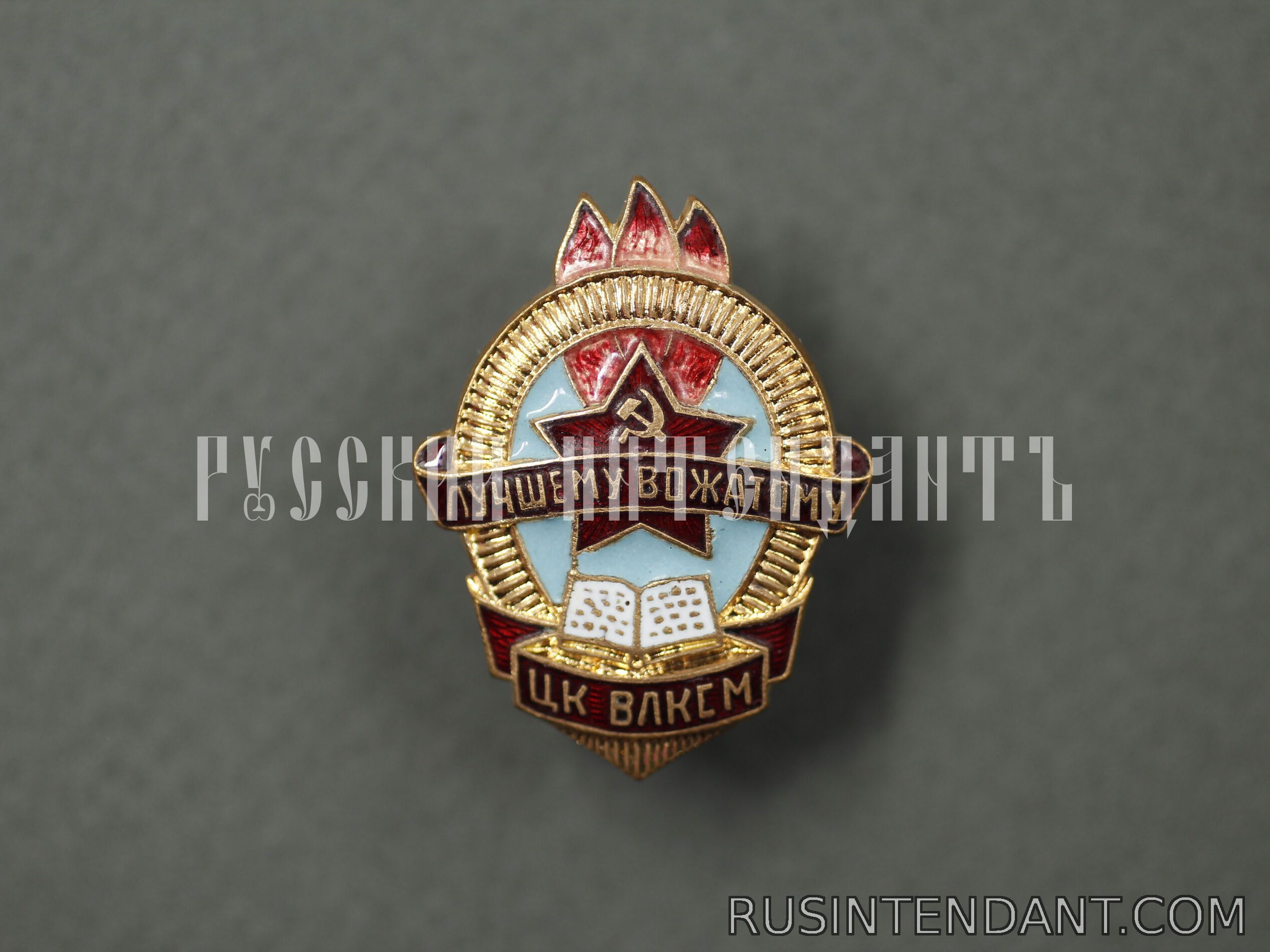 Фото 1: Знак «Лучшему вожатому» 