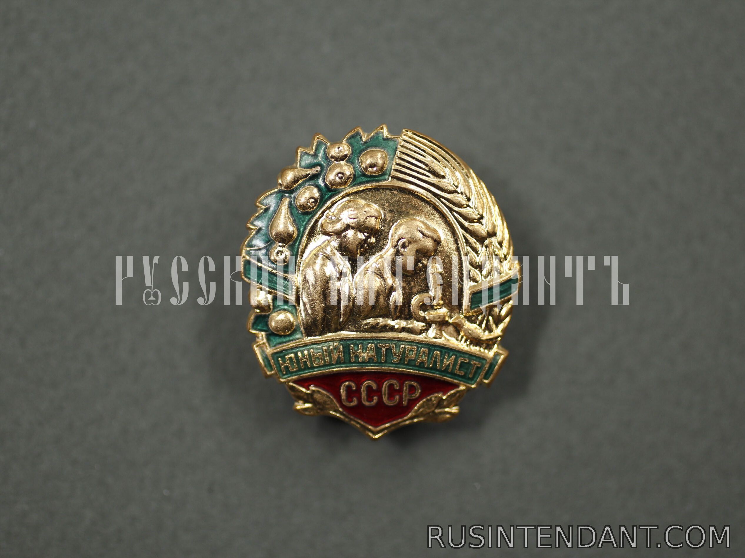Фото 1: Знак «Юный Натуралист СССР» 