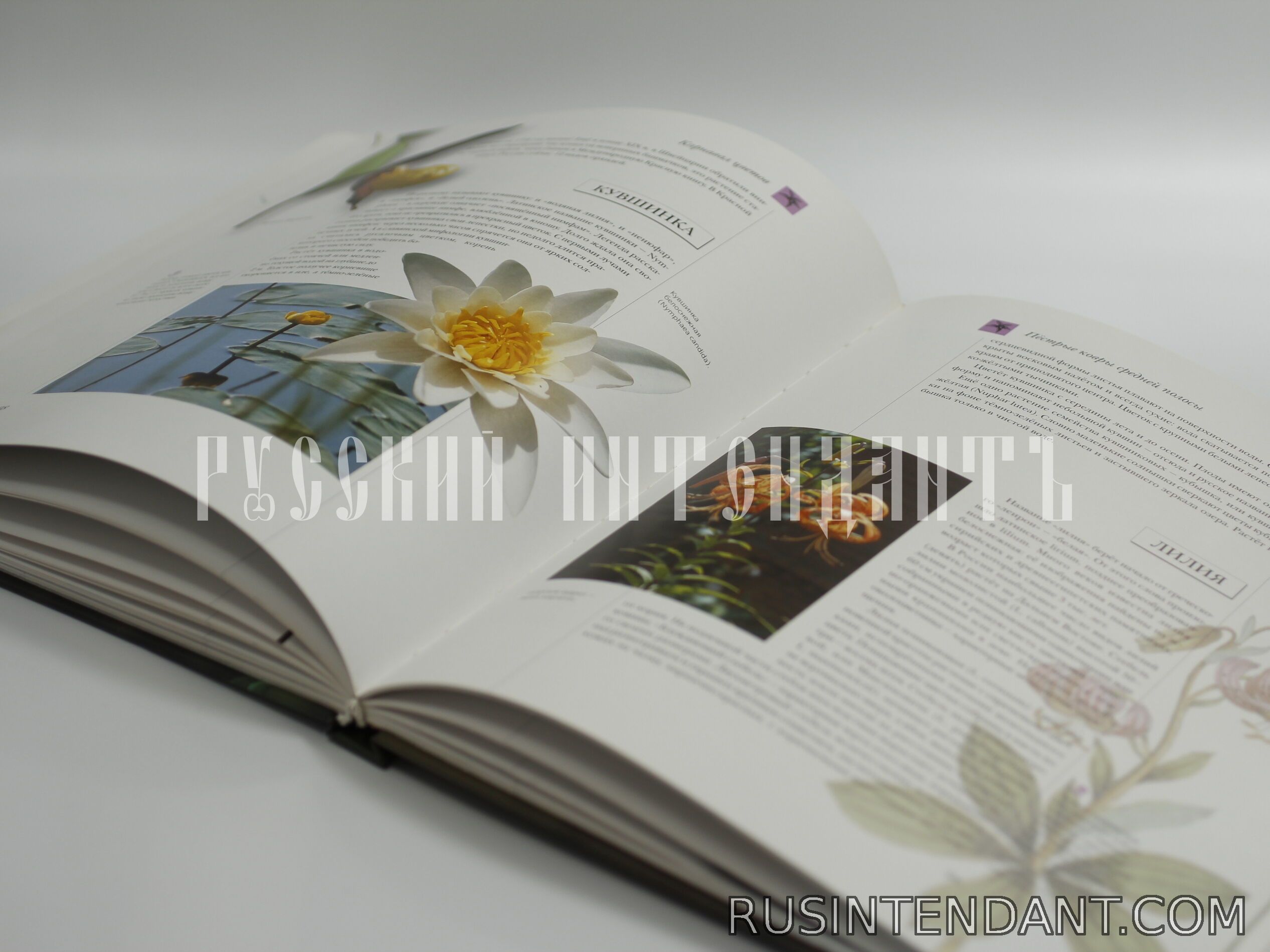 Фото 3: Книга «Цветы мира» 