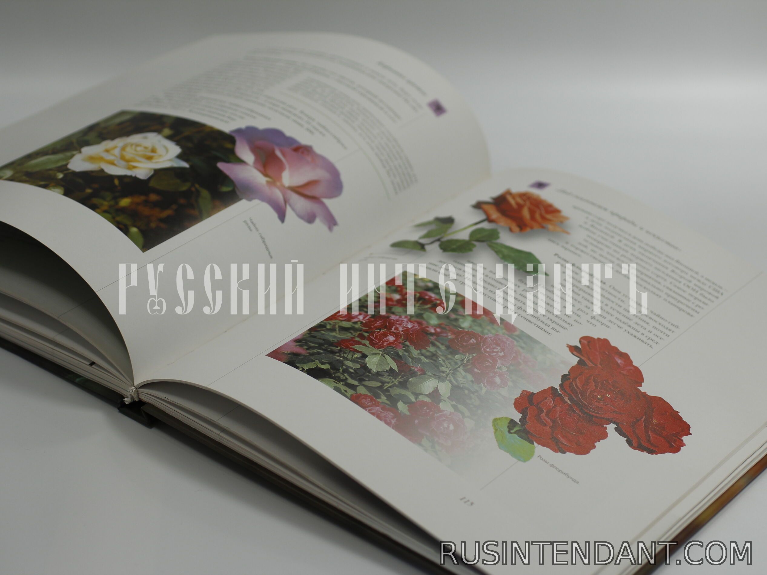 Фото 4: Книга «Цветы мира» 
