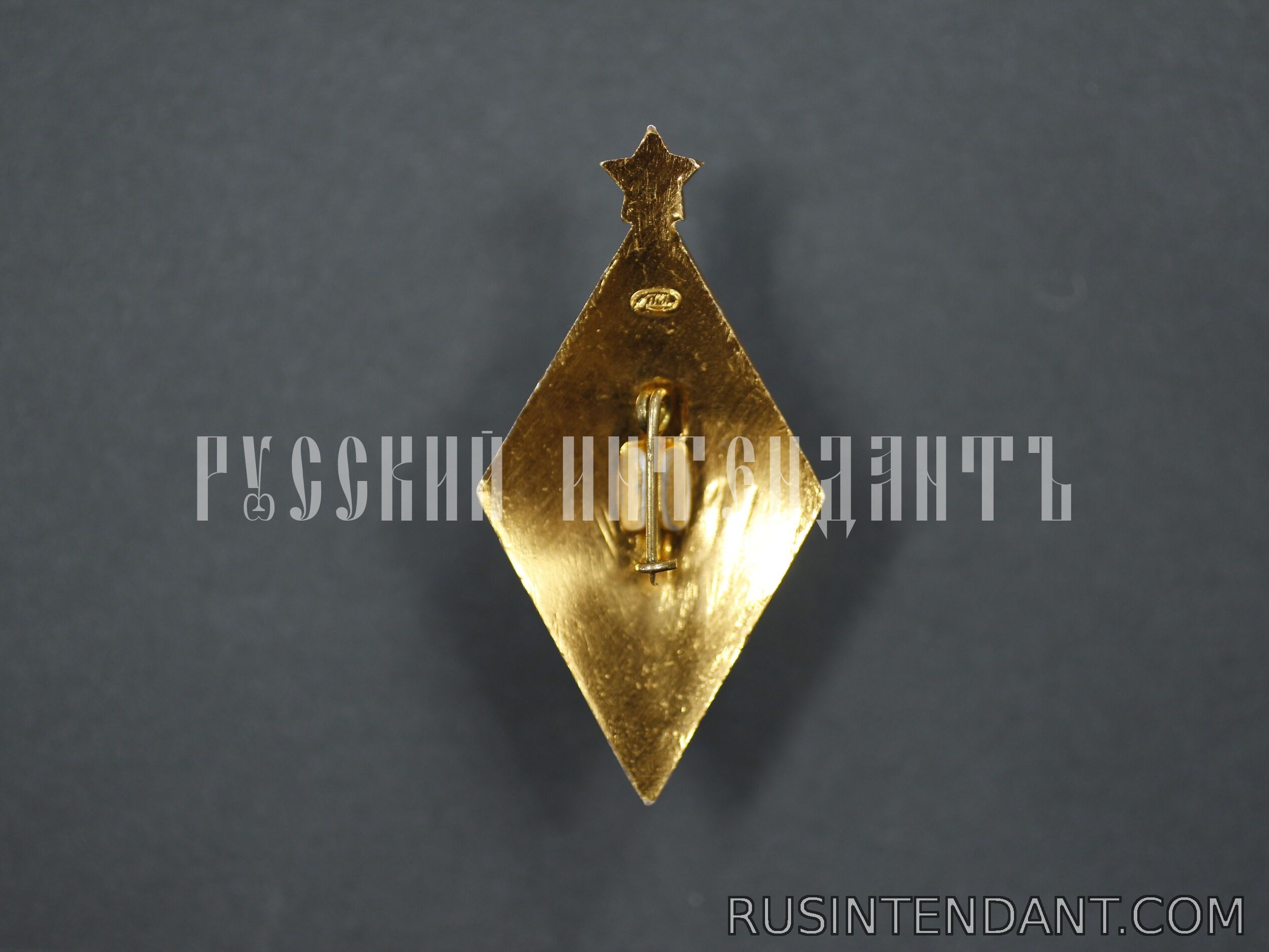 Фото 4: Знак «Отличник народного просвещения» 