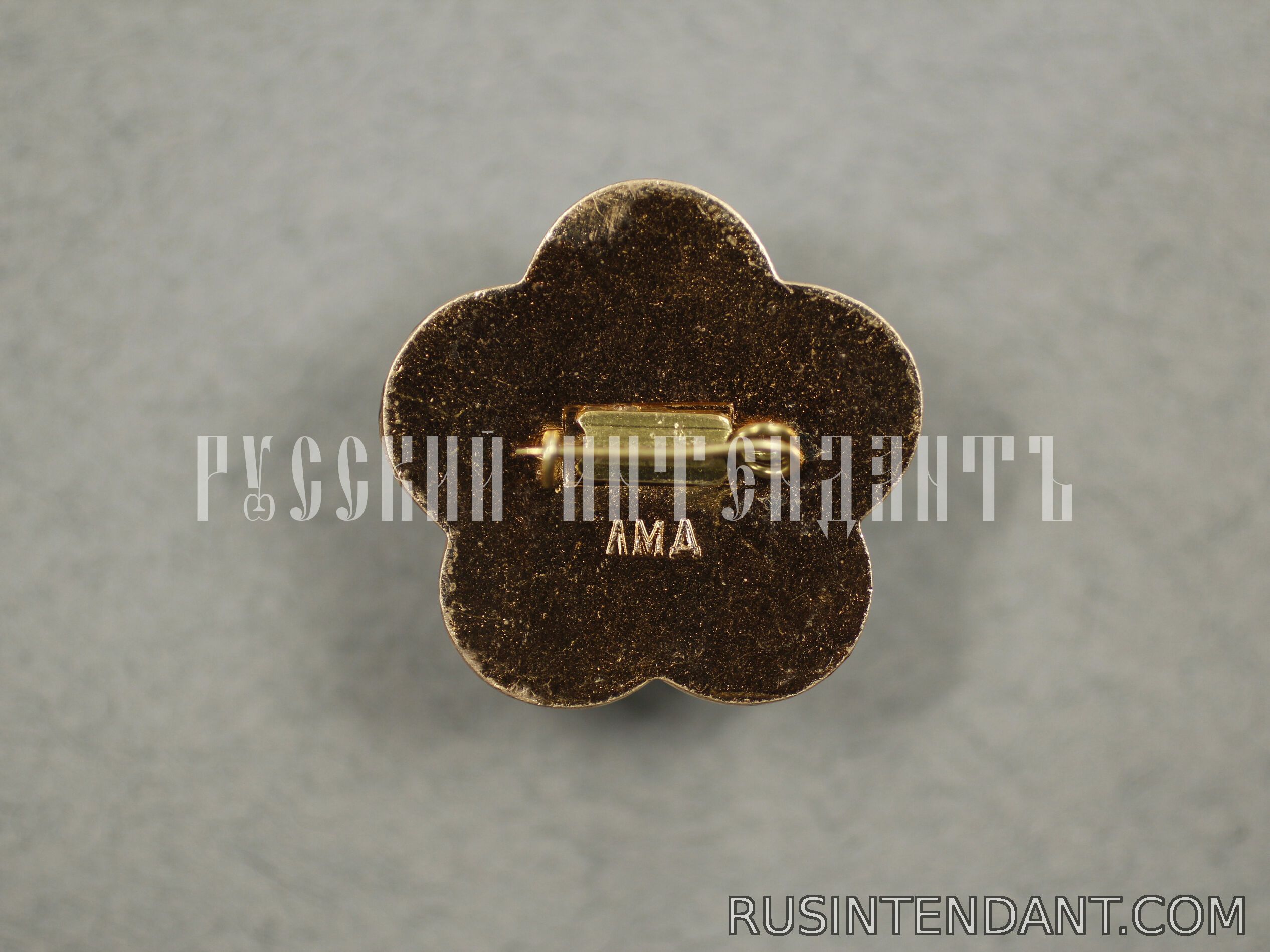 Фото 2: Знак «За мир и дружбу» 