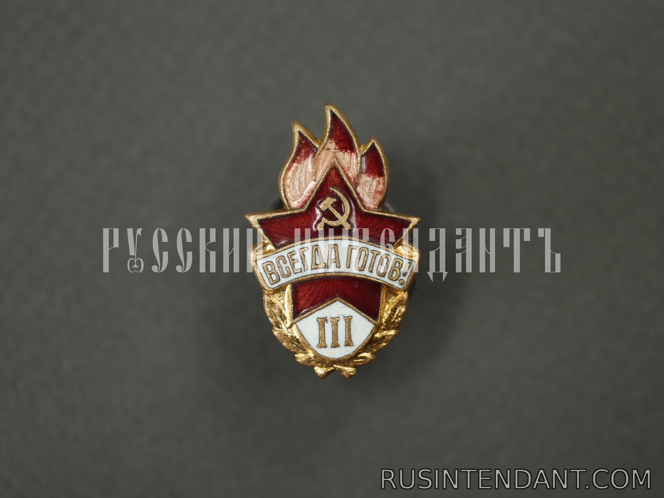 Фото 1: Знак «Всегда готов!» III ступень 