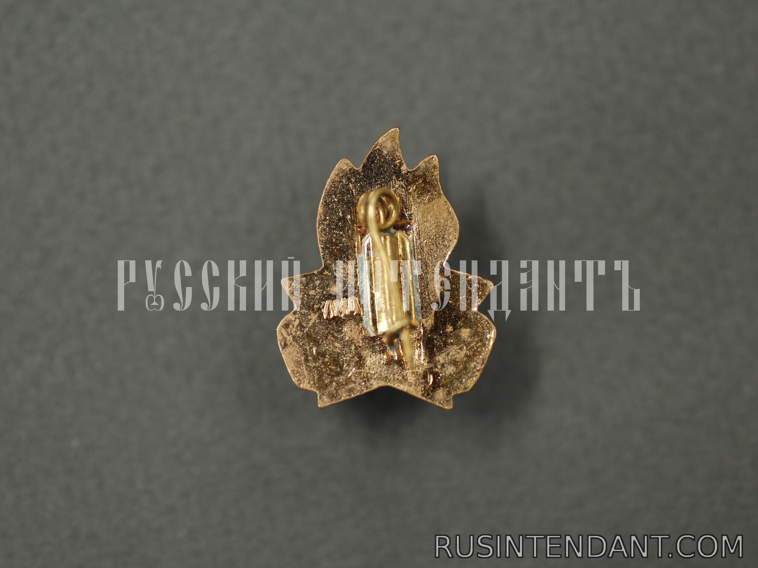 Фото 2: Членский знак Пионерской организации Советского Союза 