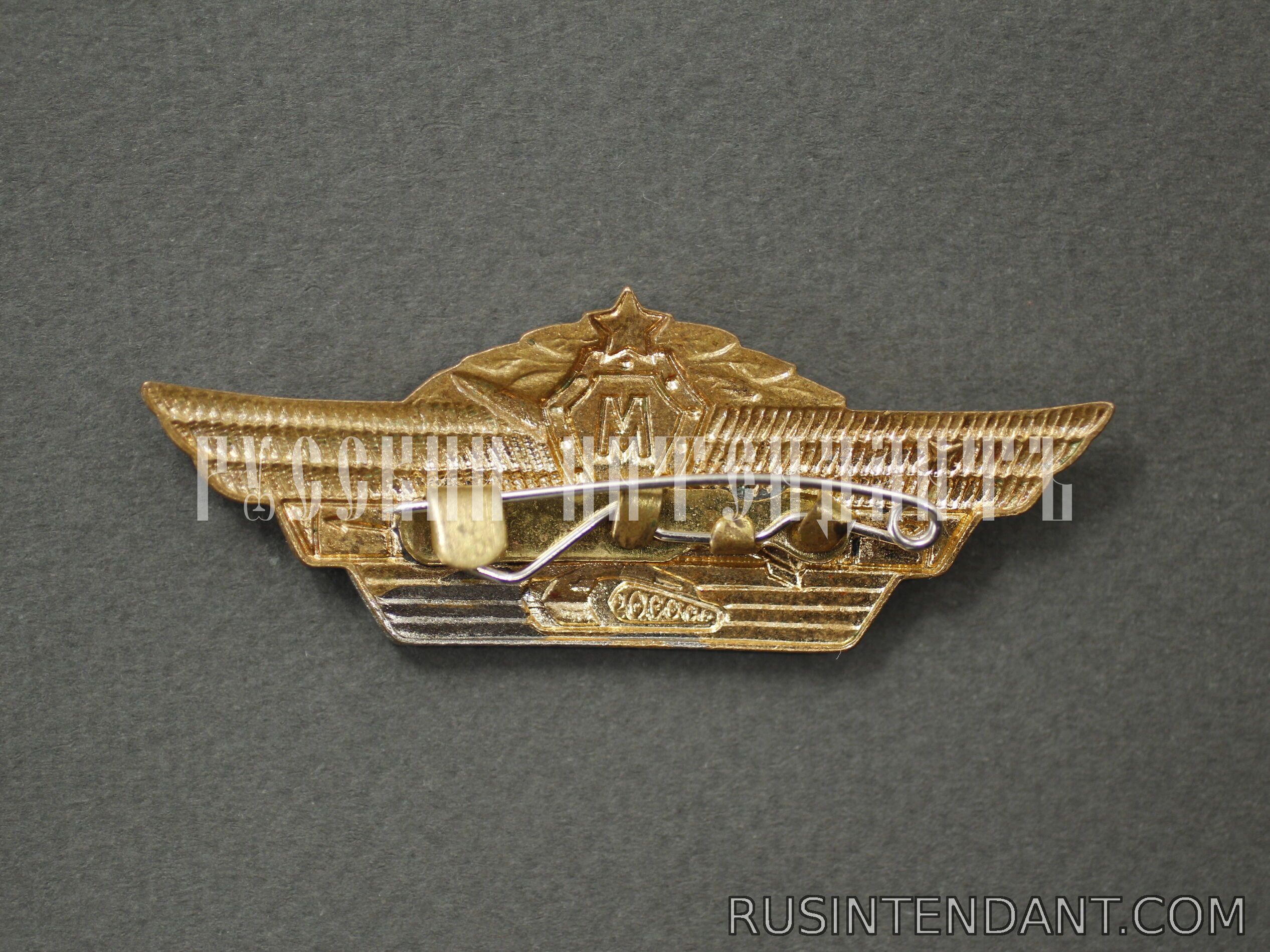 Фото 2: Знак Офицерская классность «Специалист - Мастер» 