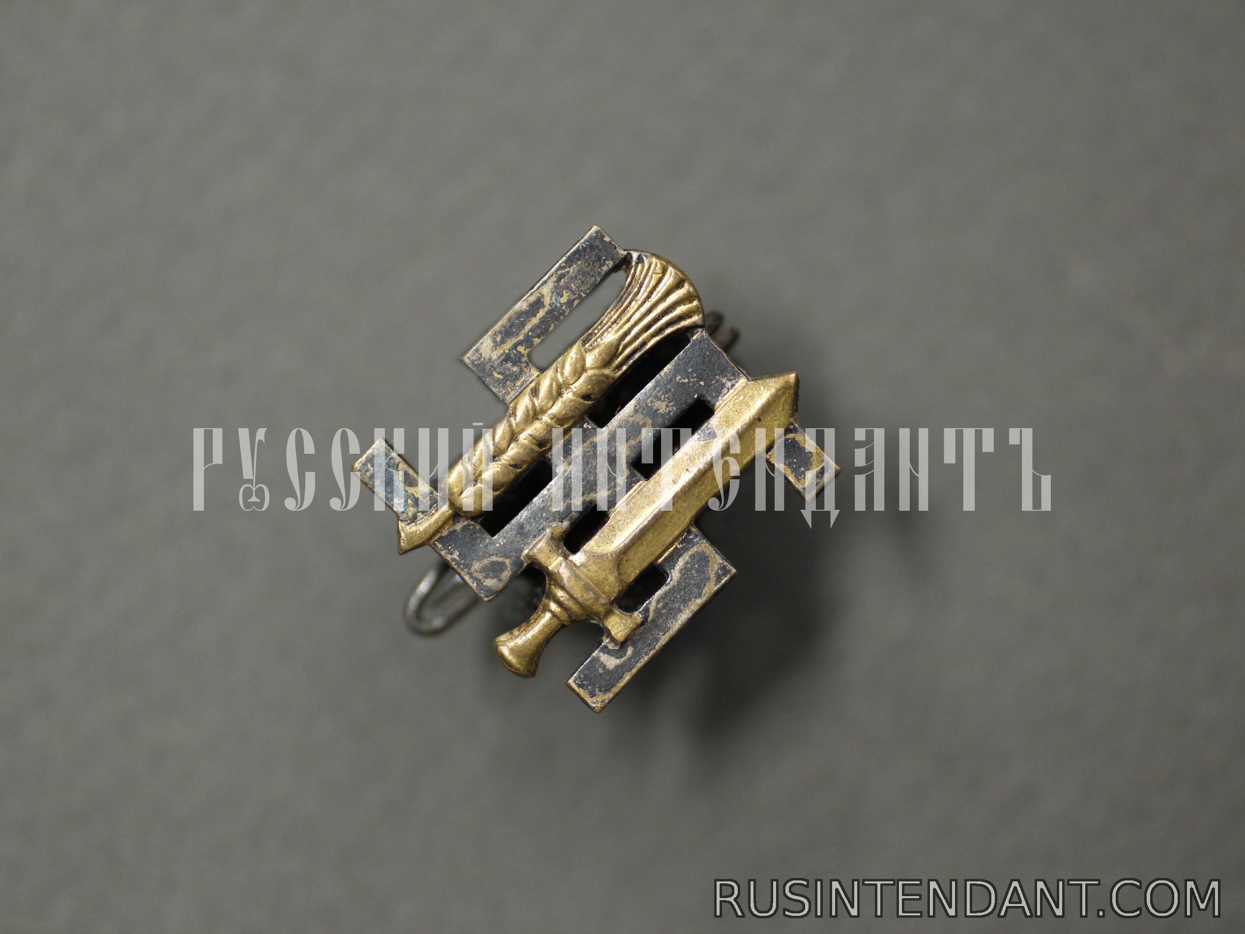 Фото 1: Членский знак RNSt 