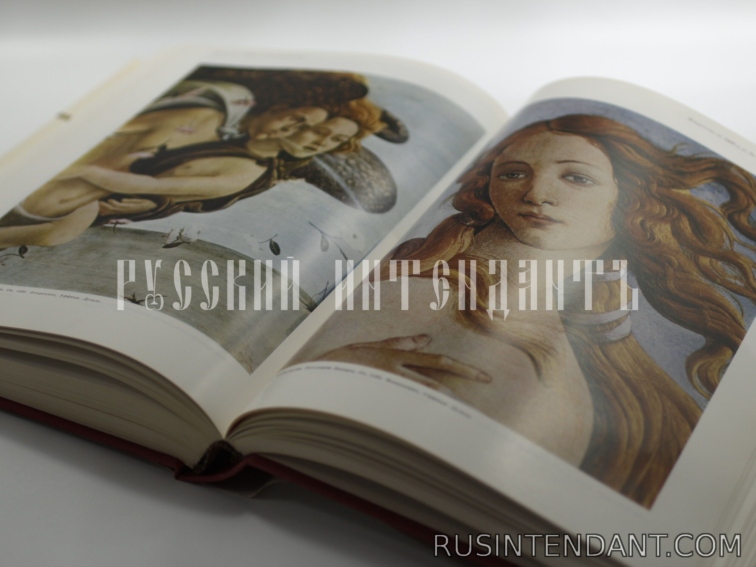 Фото 3: Книга «Искусство Италии конца XIII – XV веков» 