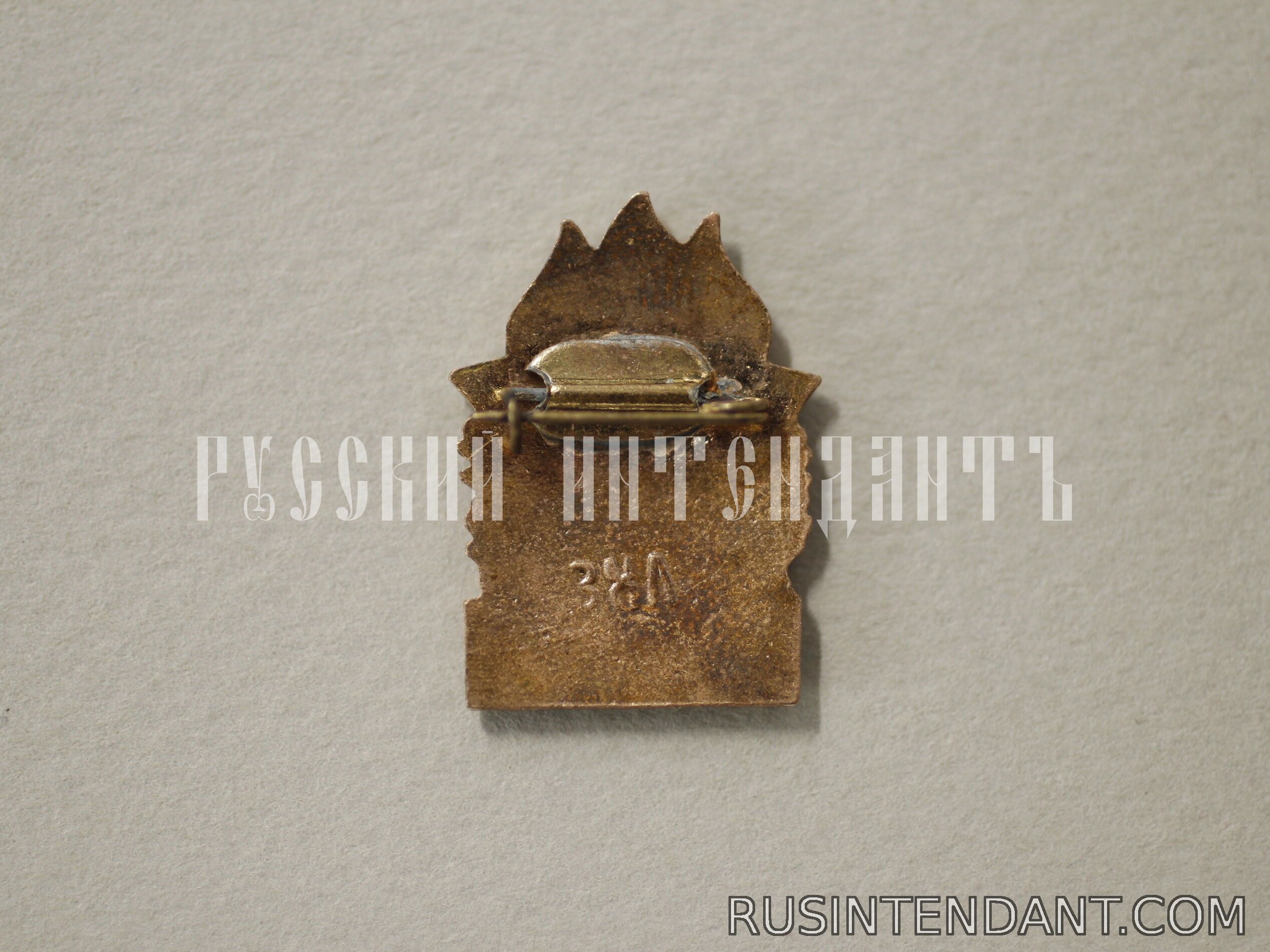 Фото 2: Знак «БГТО» 