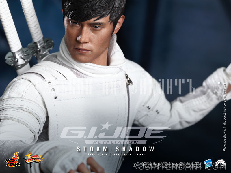 Фото 6: Коллекционная фигура "Storm Shadow" 