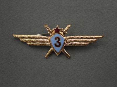 Нагрудный знак Военный летчик 3 класса