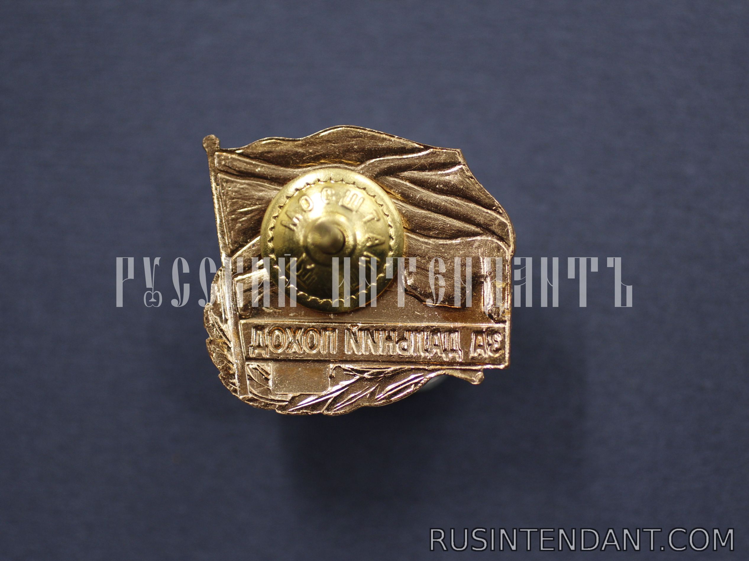 Фото 3: Знак «За дальний поход» 