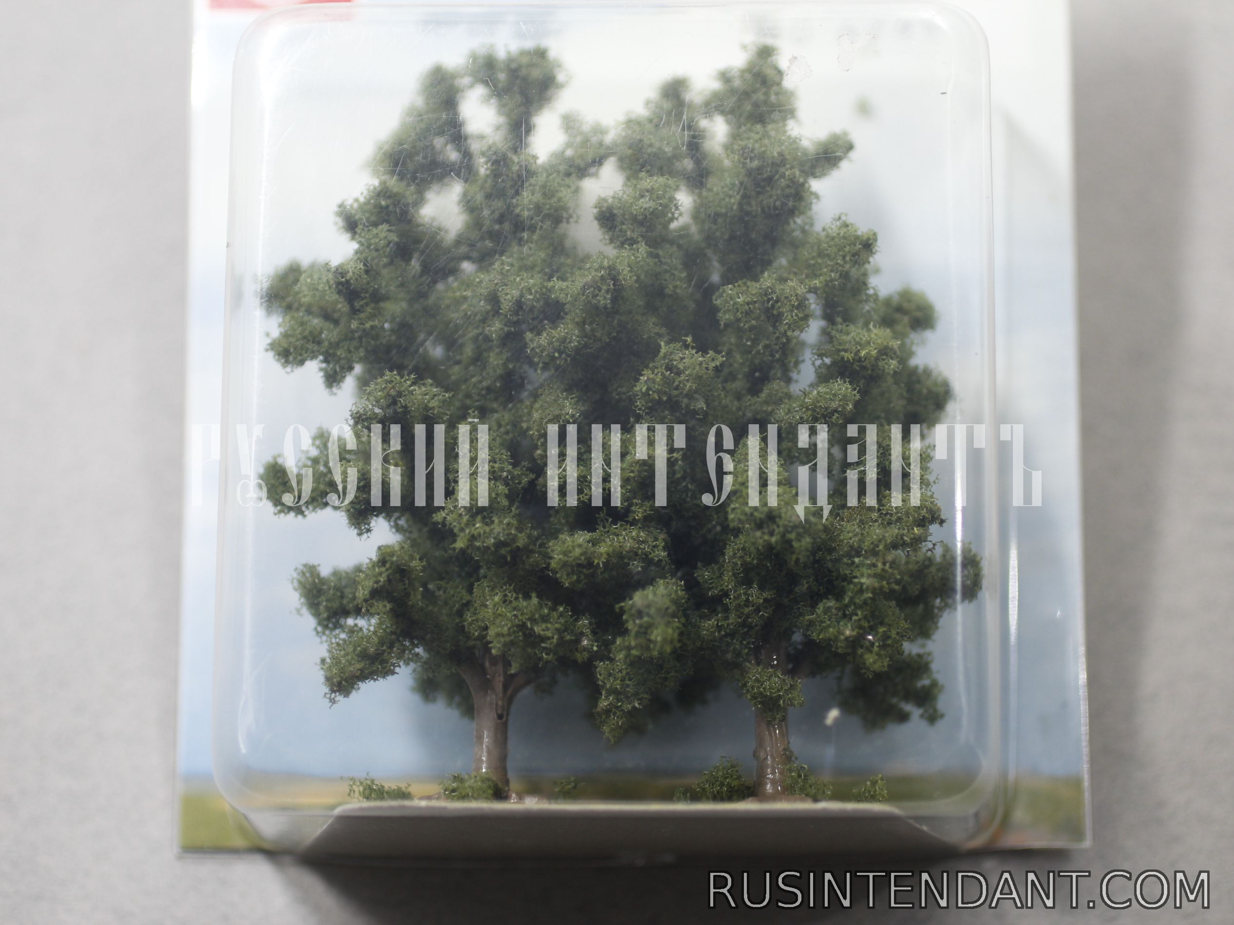 Фото 2: Два буковых дерева BUSCH 