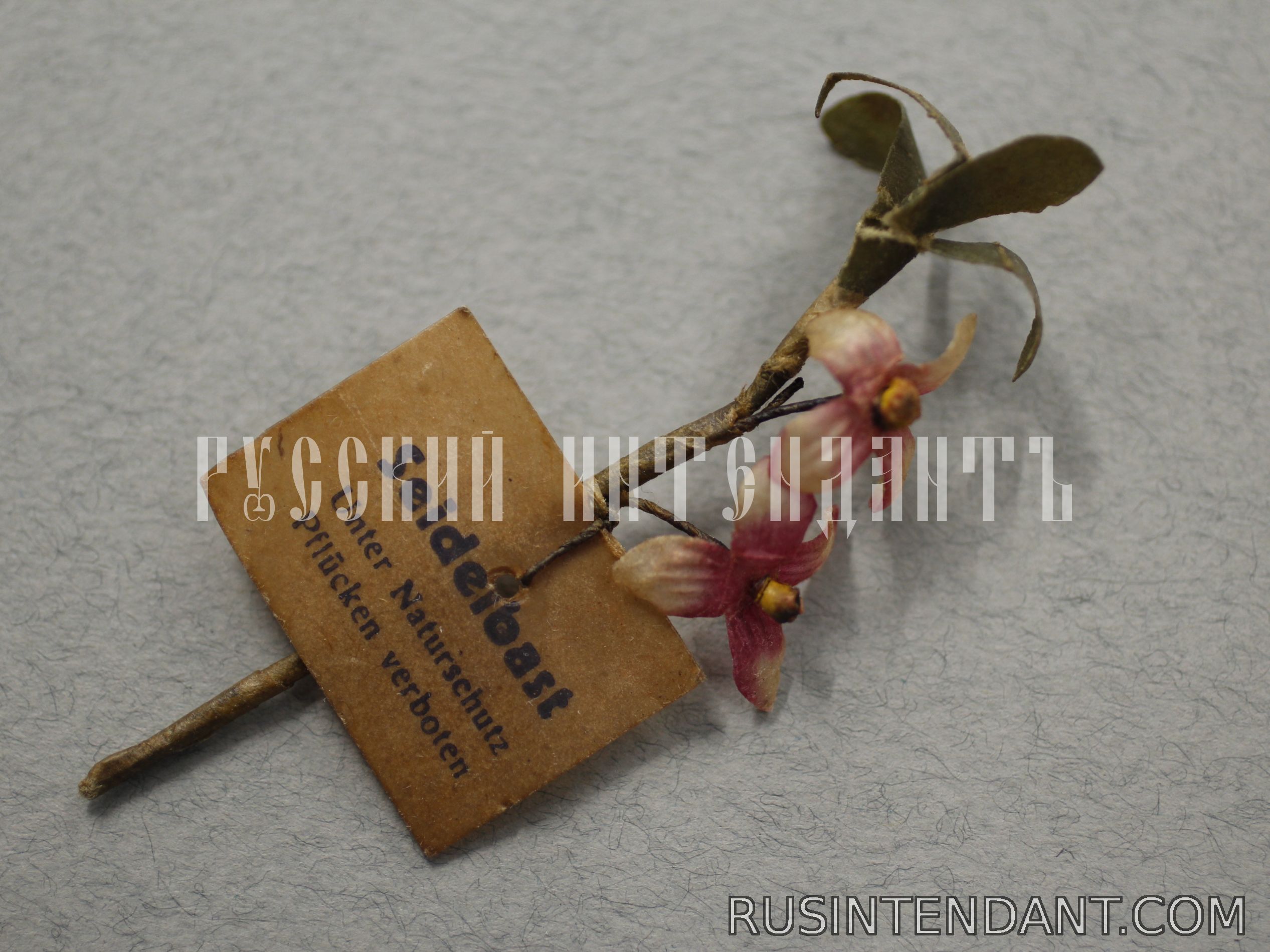 Фото 2: Знак за пожертвование «Волчеягодник» 