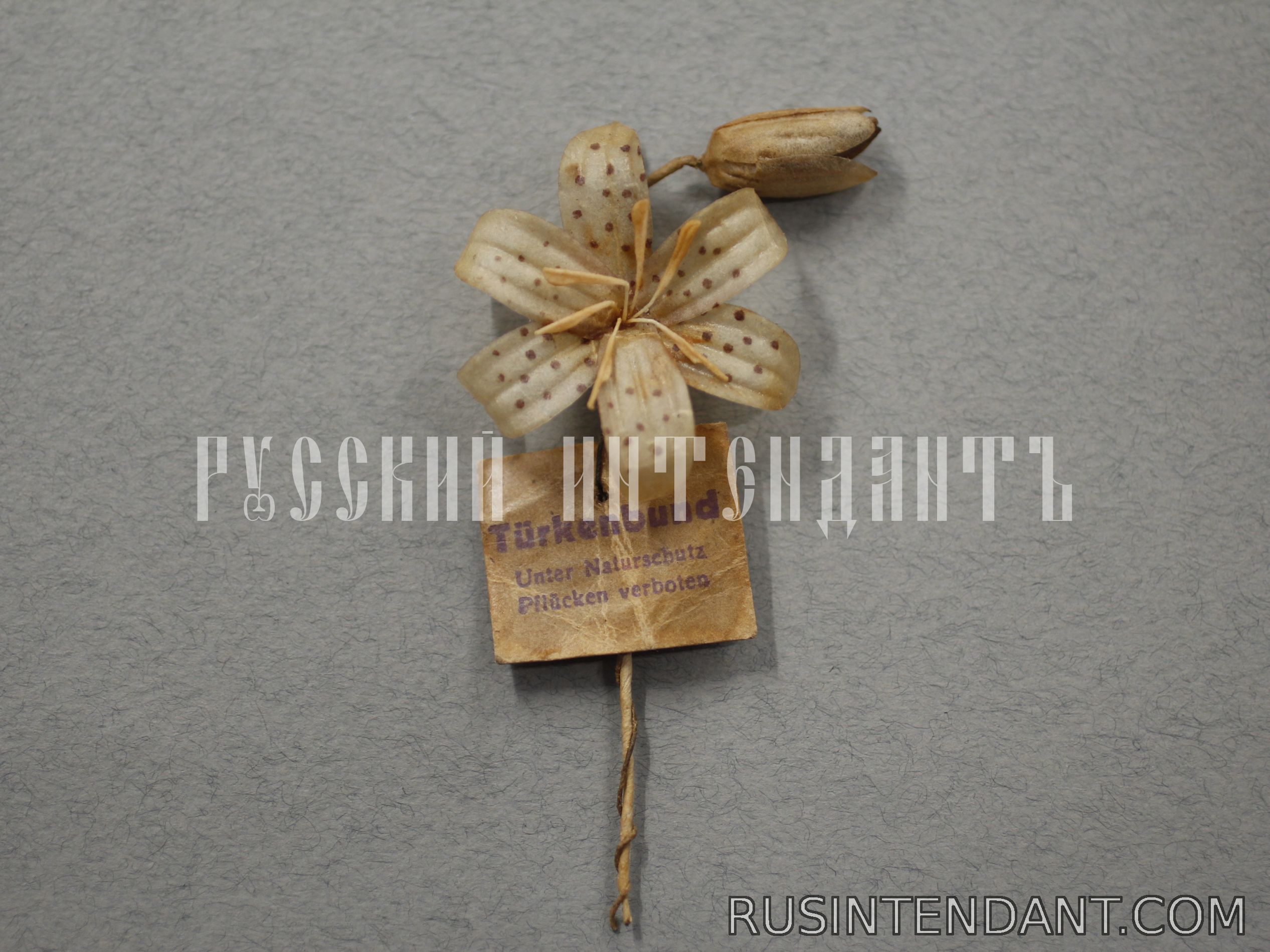 Фото 1: Знак за пожертвование «Лилия кудреватая» 