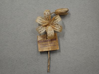 Знак за пожертвование «Лилия кудреватая»