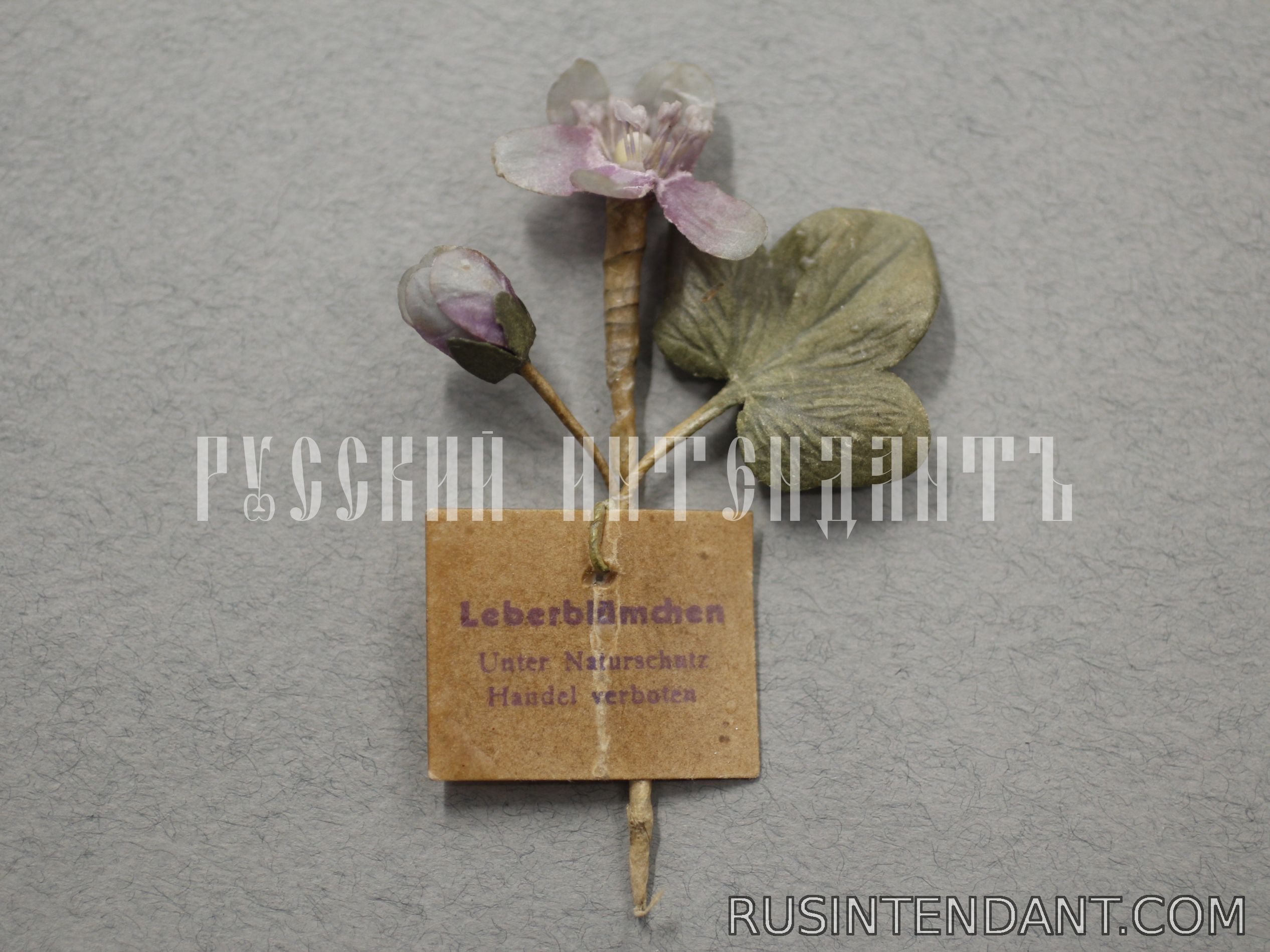 Фото 1: Знак за пожертвование «Печёночница благородная» 