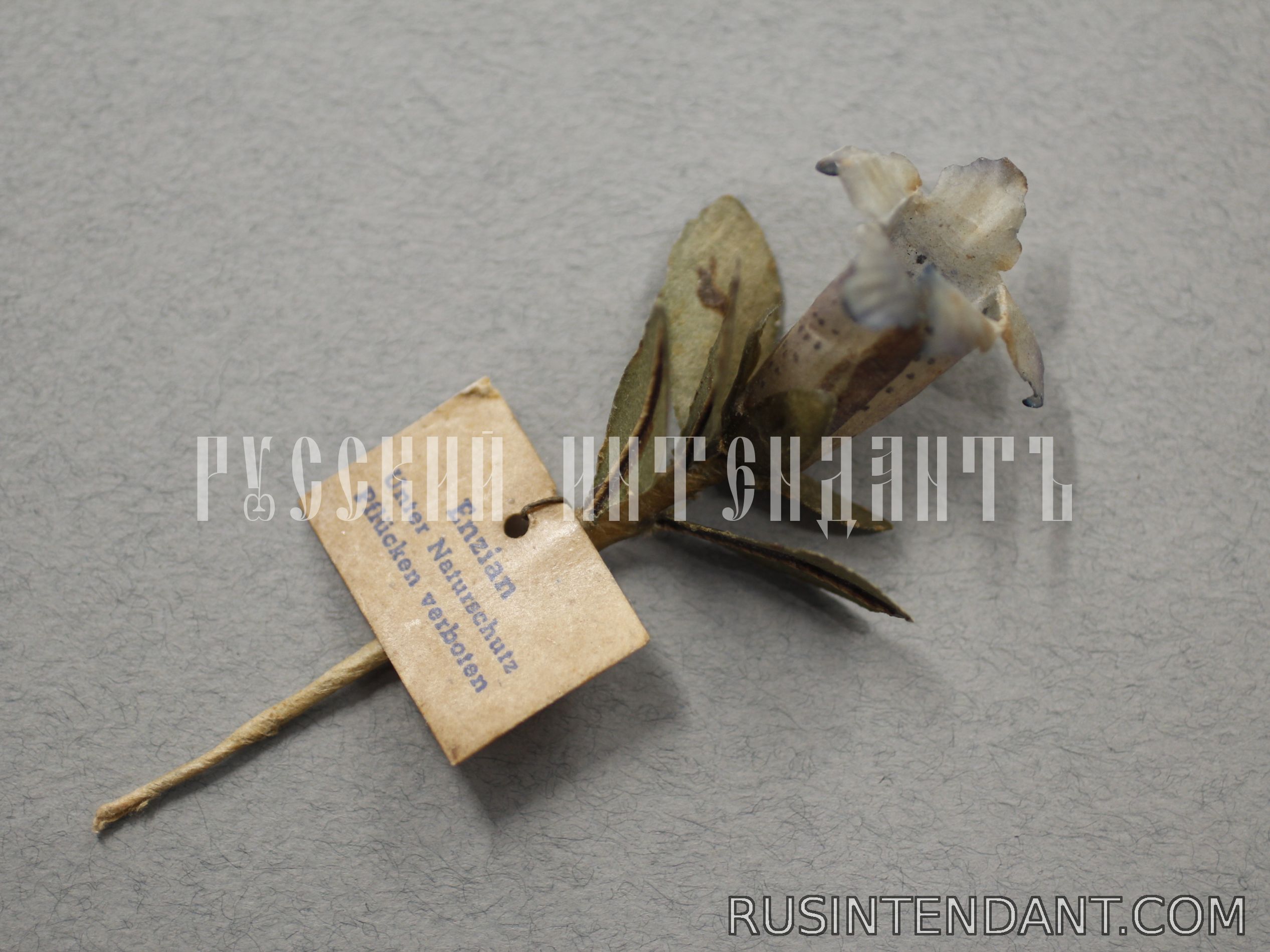 Фото 2: Знак за пожертвование «Горечавка» 