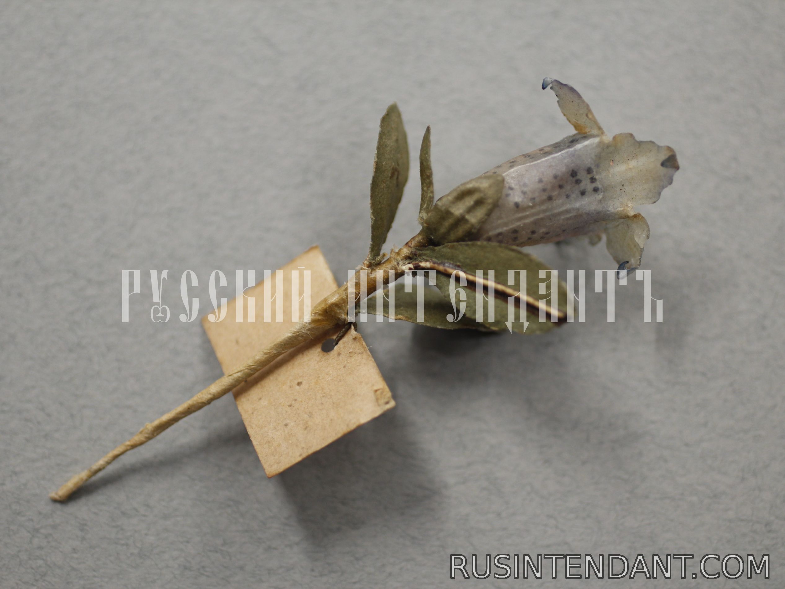 Фото 3: Знак за пожертвование «Горечавка» 