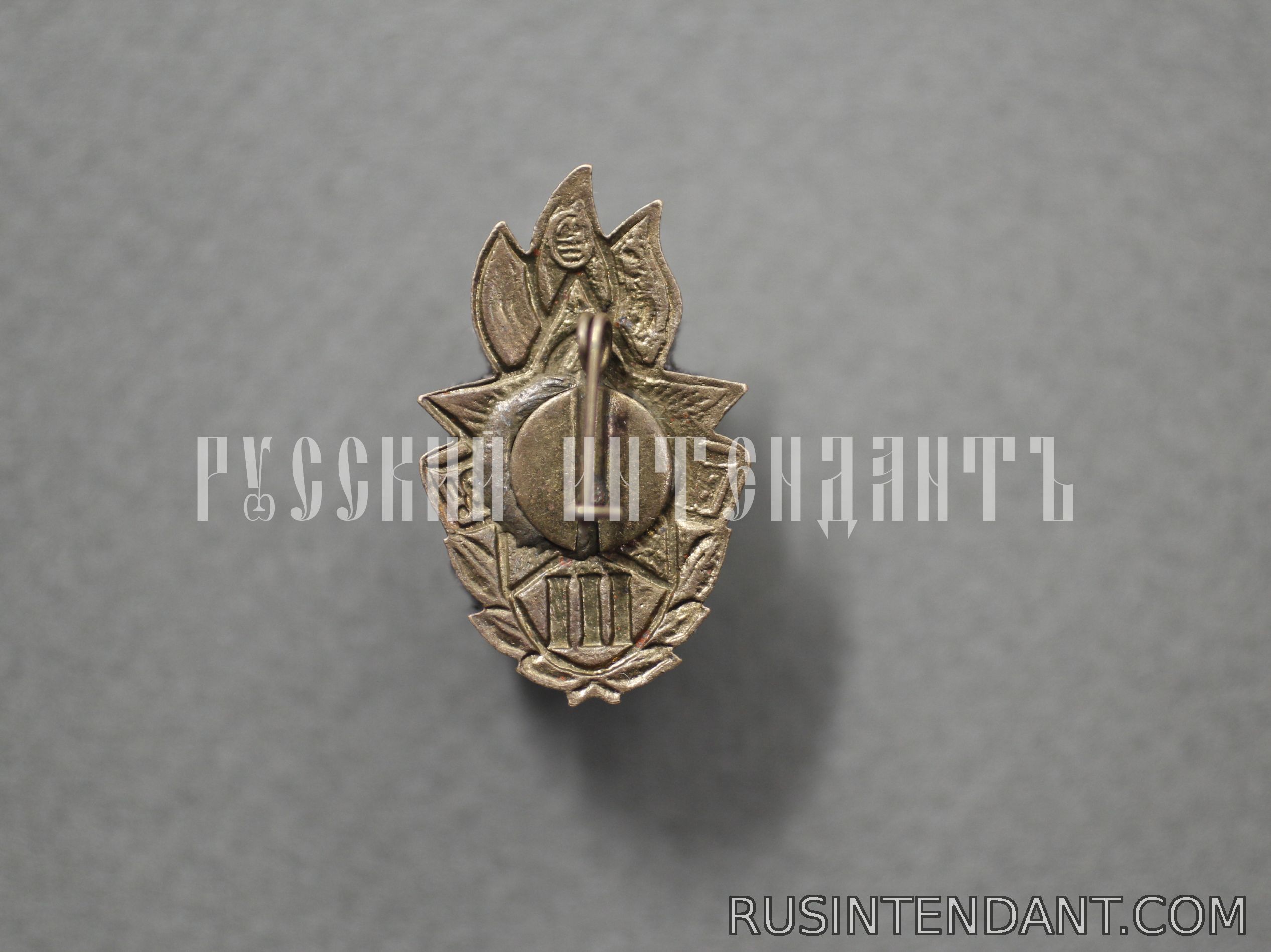 Фото 2: Знак «Всегда готов!» III ступень 