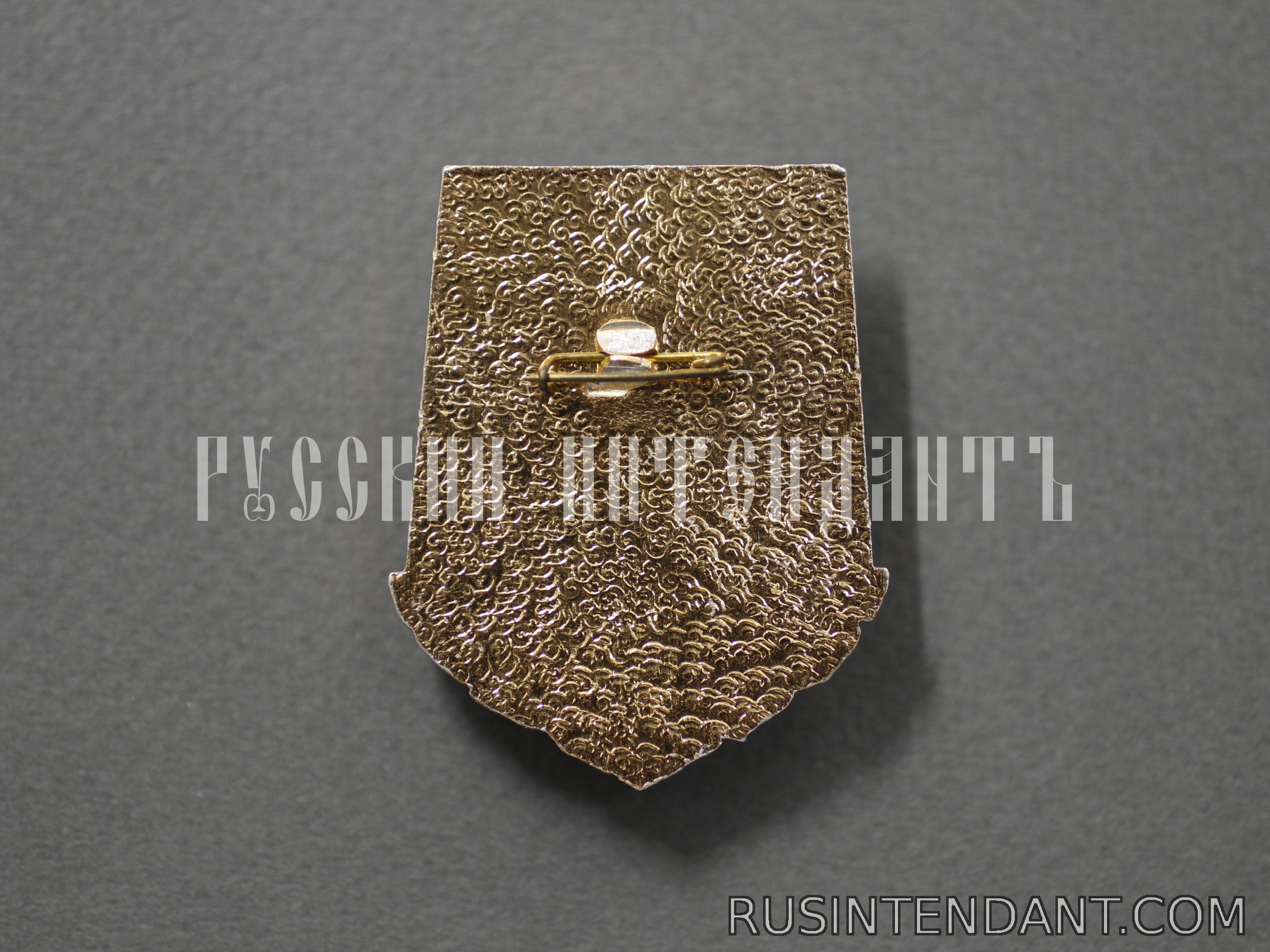 Фото 2: Знак «За дальний поход» 