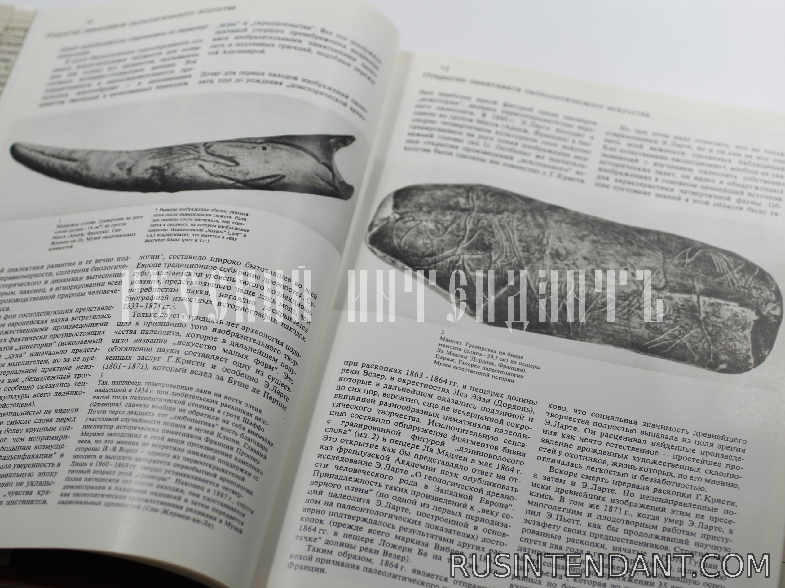 Фото 2: Книга «Происхождение изобразительного искусства» 
