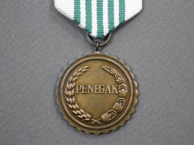 Медаль за борьбу с коммунистами