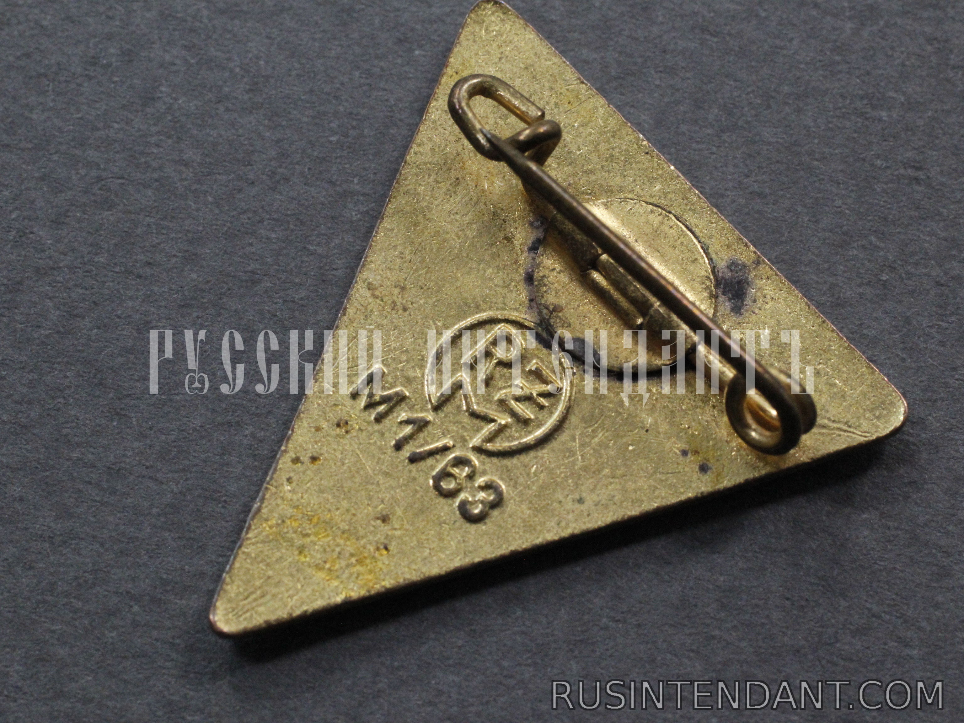 Фото 4: Членский знак организации NSF 