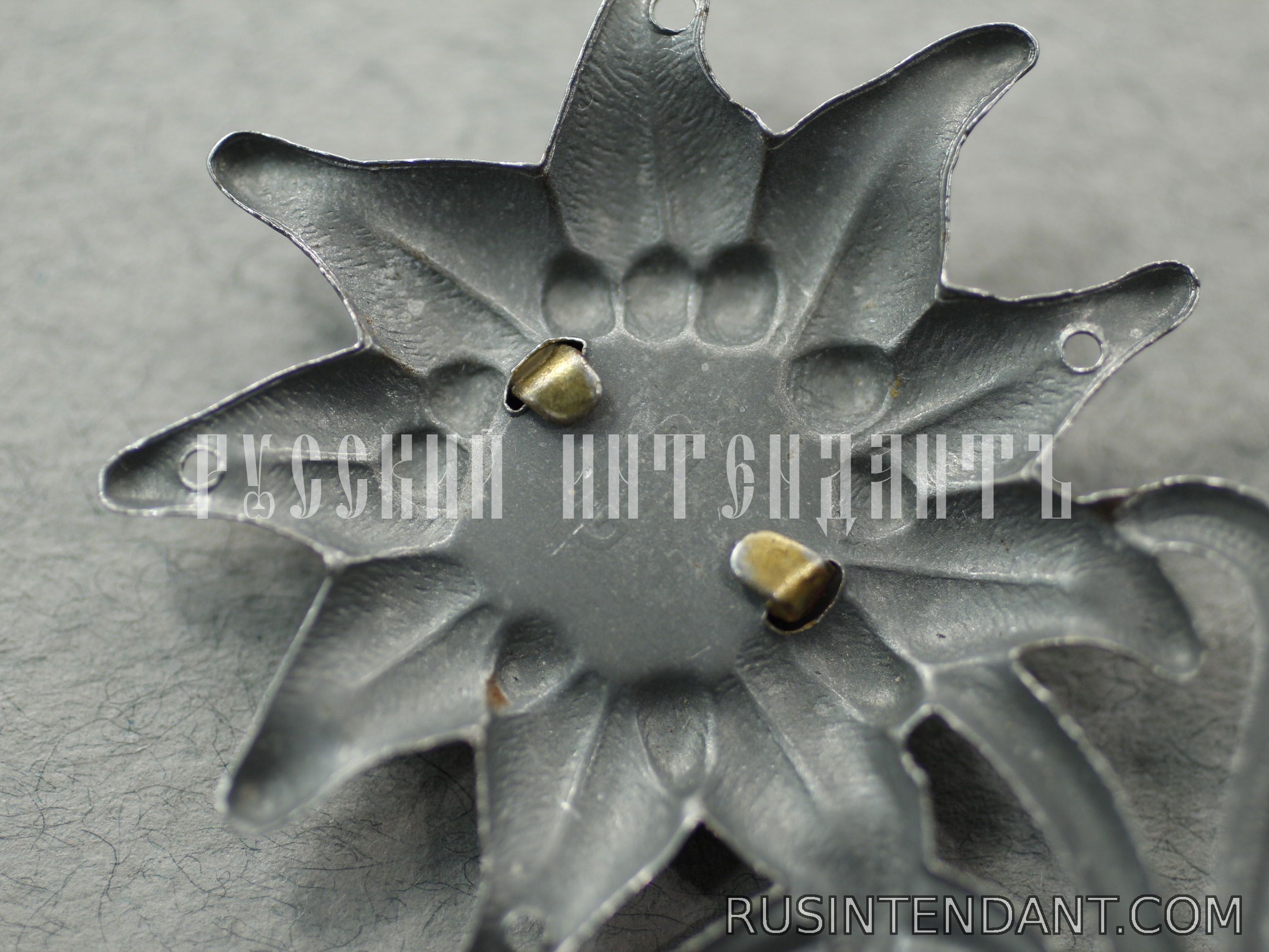 Фото 4: Эмблема на головной убор горно-стрелковых частей Вермахта 