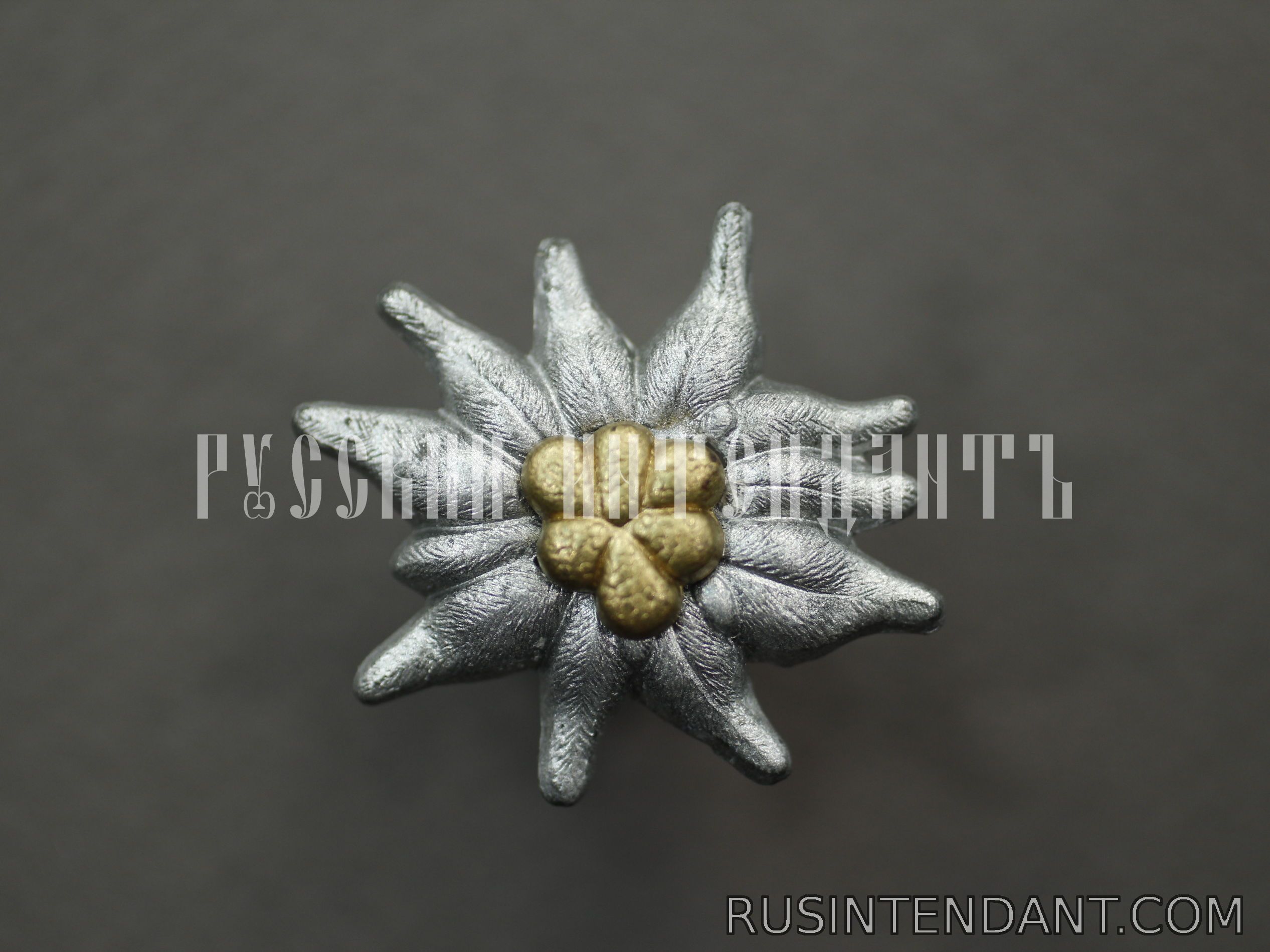 Фото 1: Эмблема на фуражку горно-стрелковых частей Вермахта 