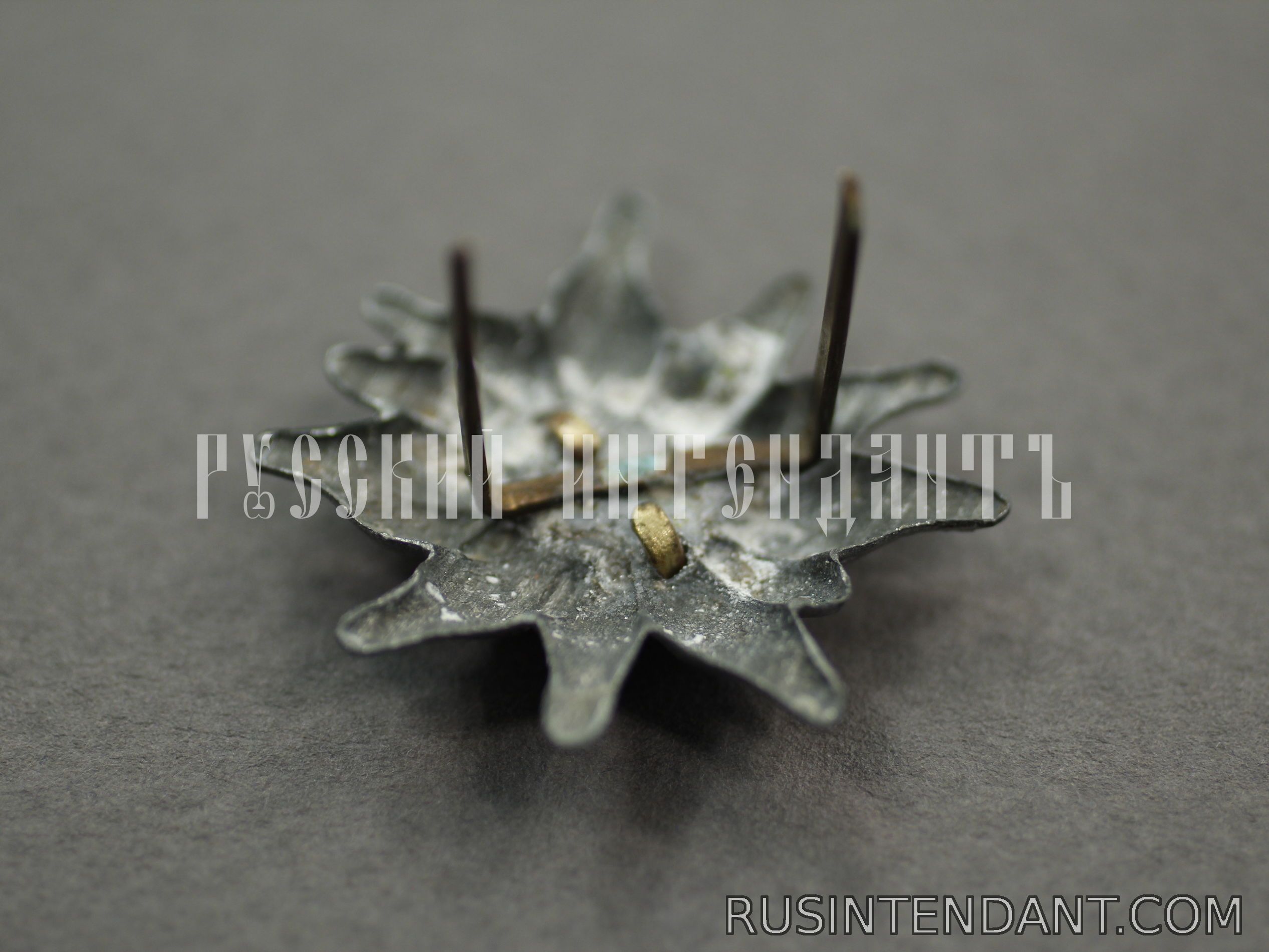 Фото 4: Эмблема на фуражку горно-стрелковых частей Вермахта 