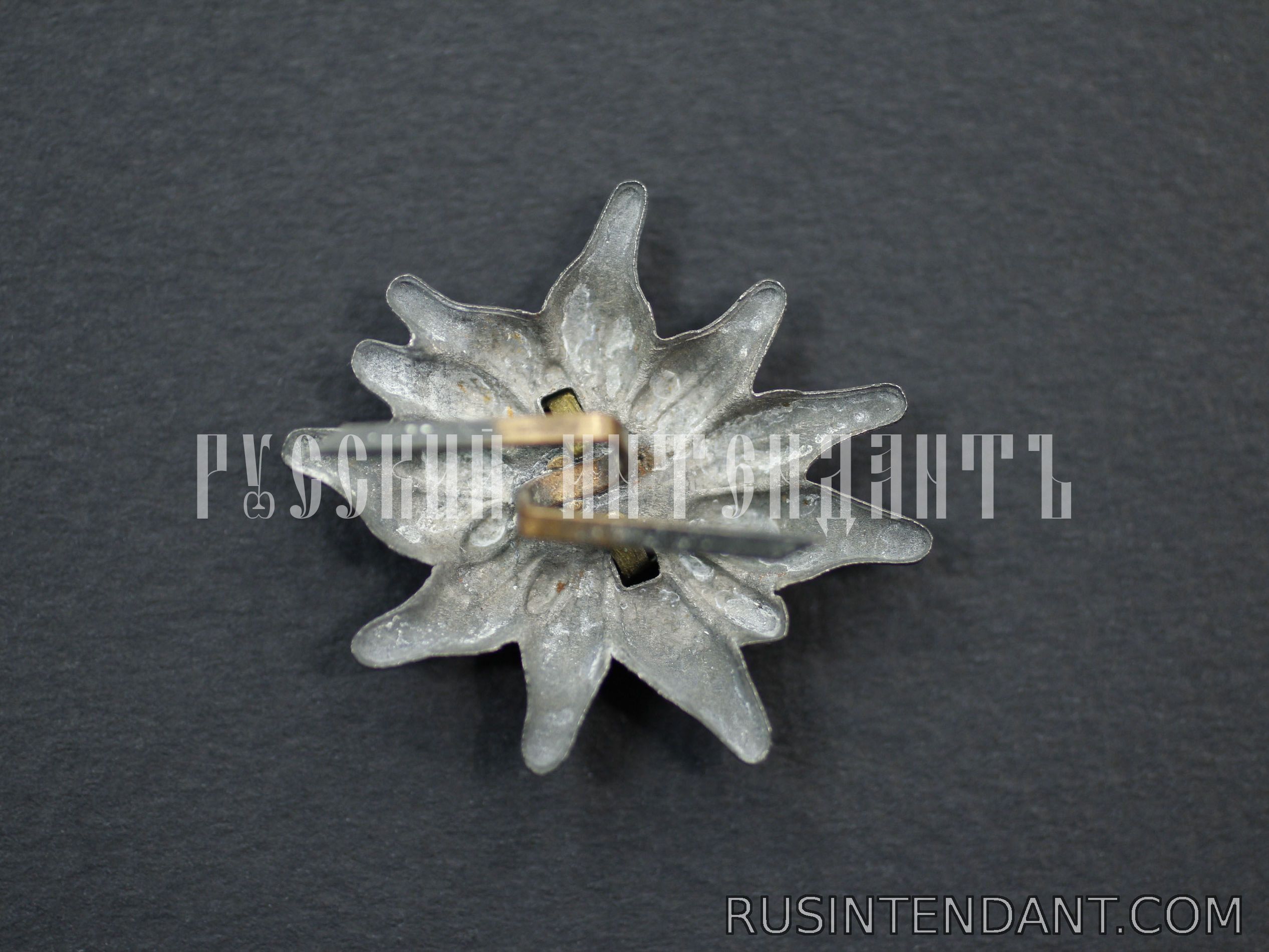 Фото 3: Эмблема на фуражку горно-стрелковых частей Вермахта 