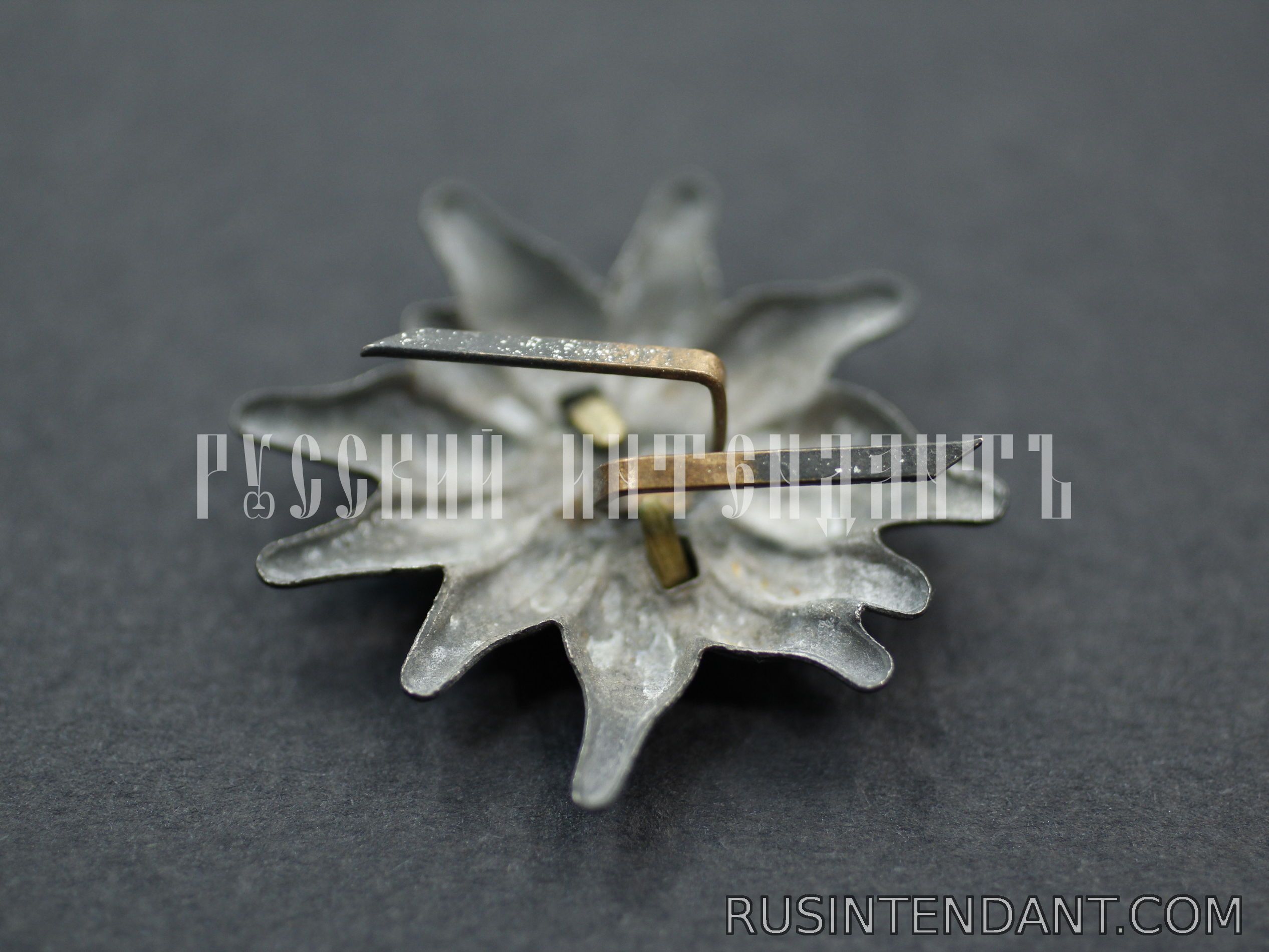 Фото 4: Эмблема на фуражку горно-стрелковых частей Вермахта 