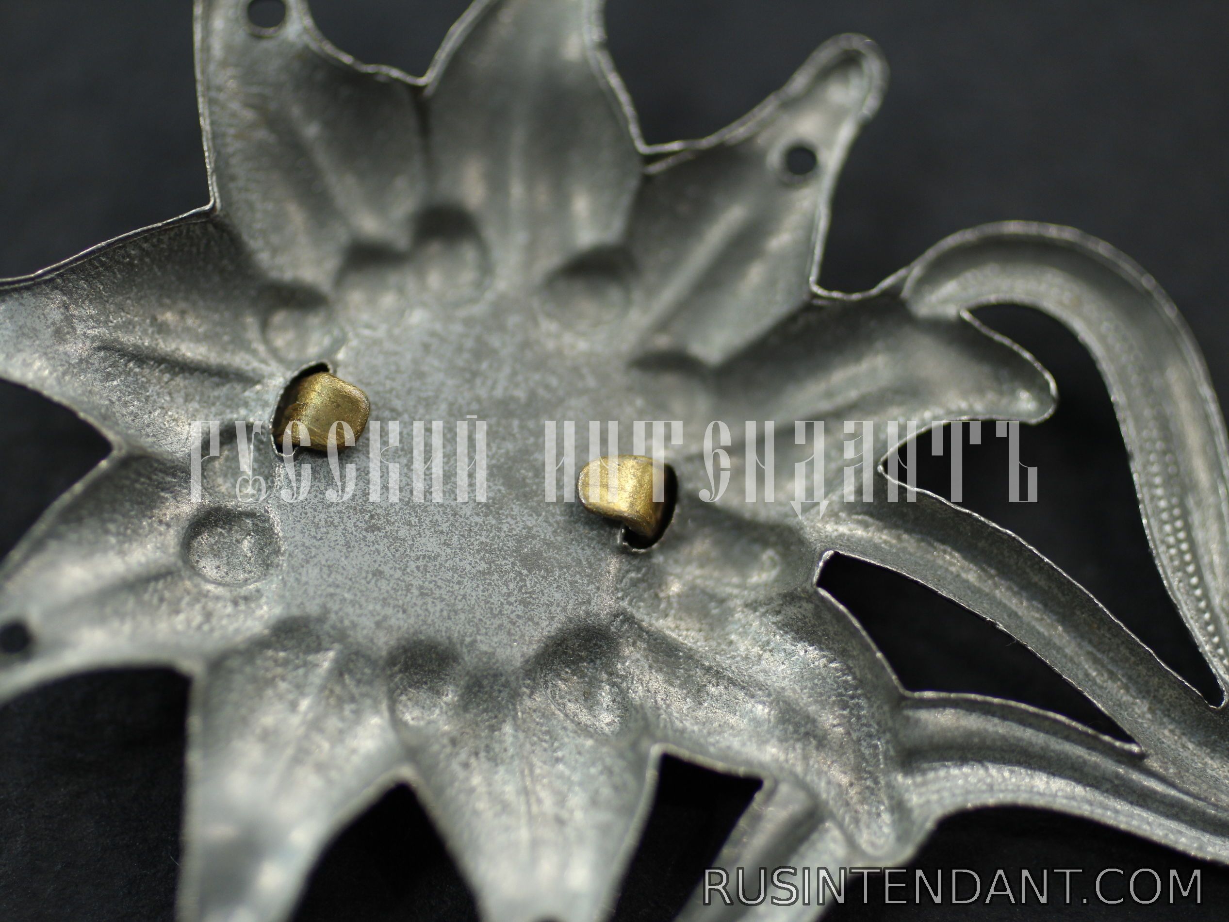 Фото 4: Эмблема на головной убор горно-стрелковых частей Вермахта 