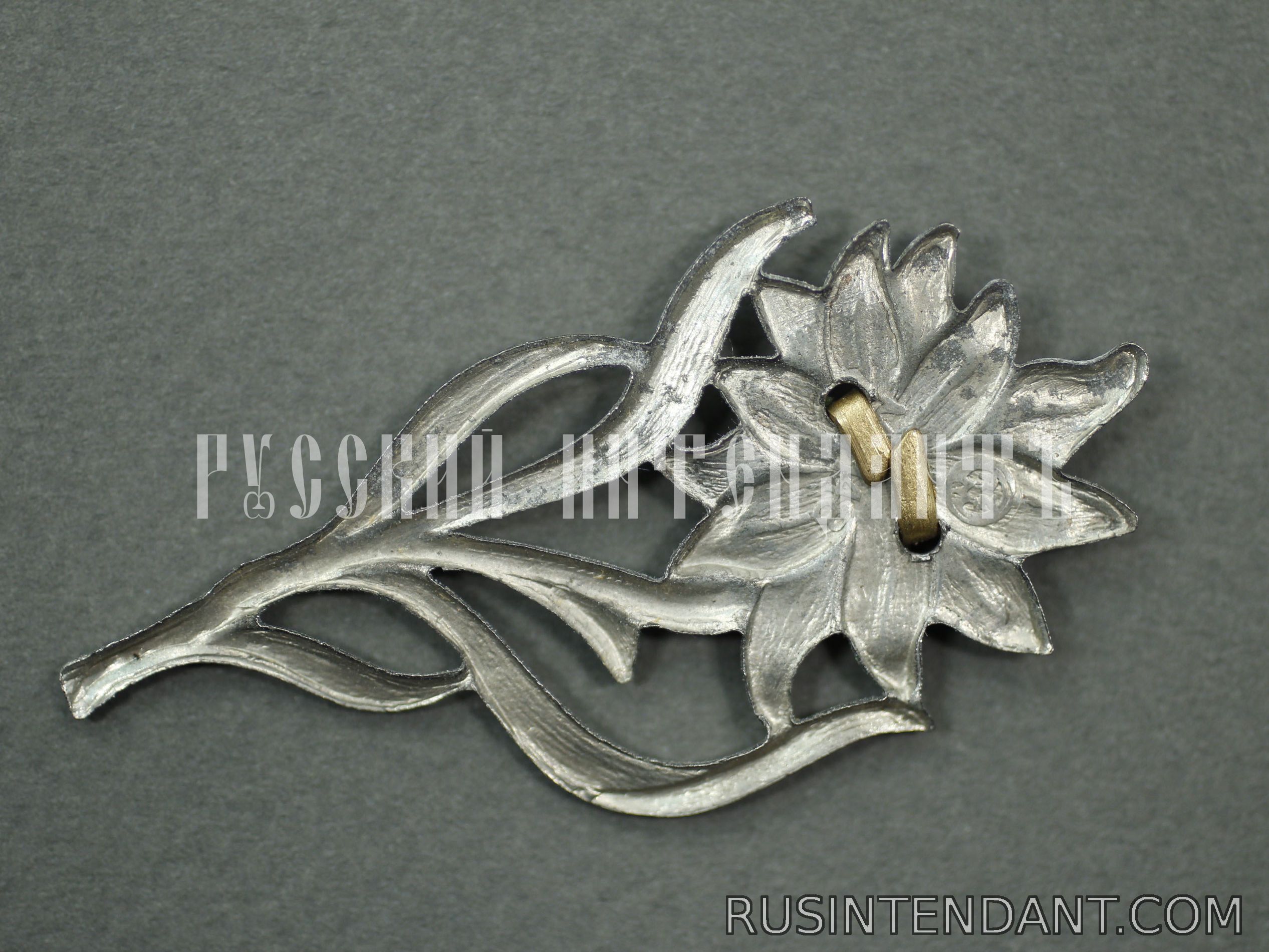 Фото 2: Эмблема на головной убор штурмовиков СА 