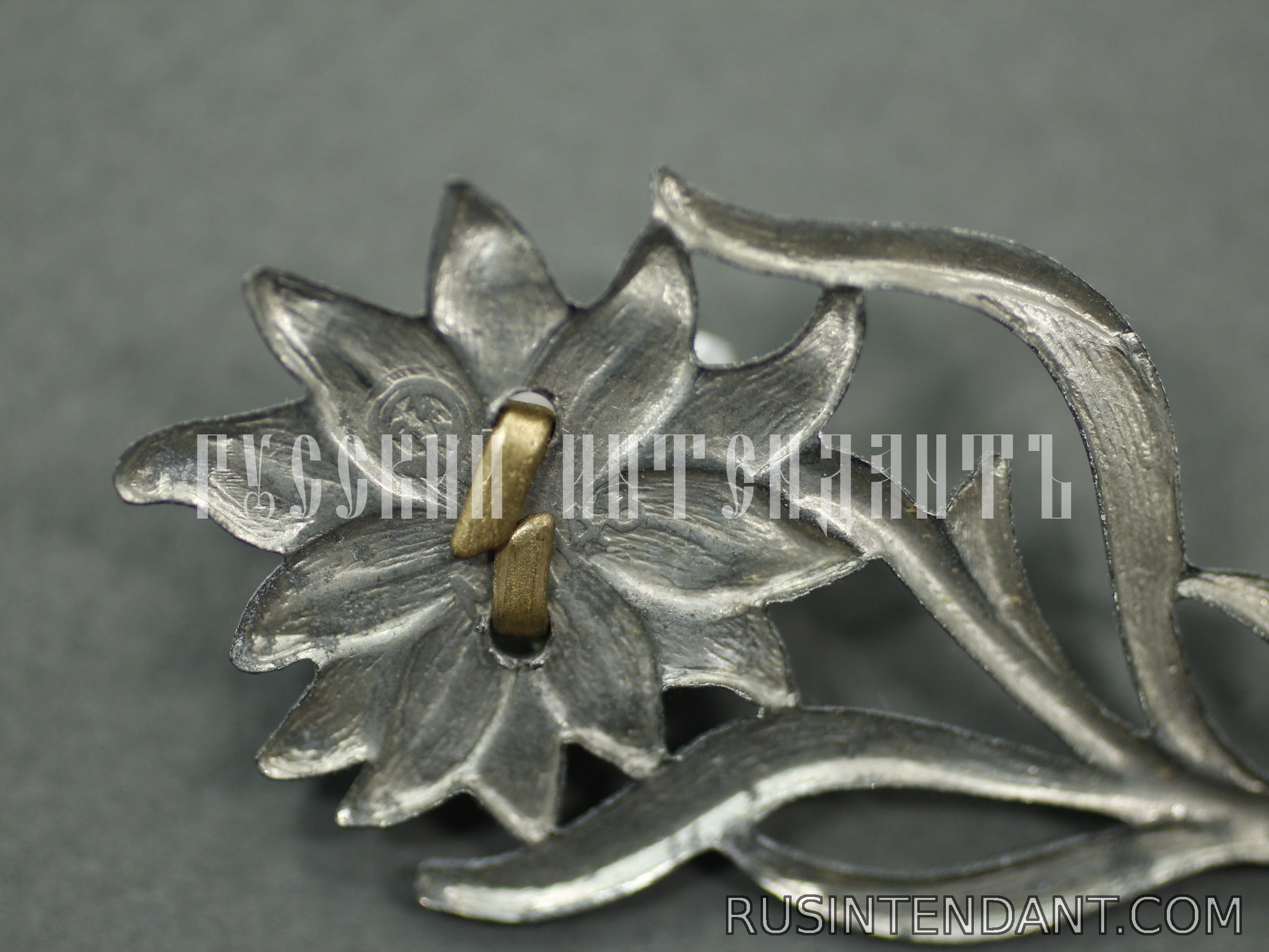 Фото 3: Эмблема на головной убор штурмовиков СА 