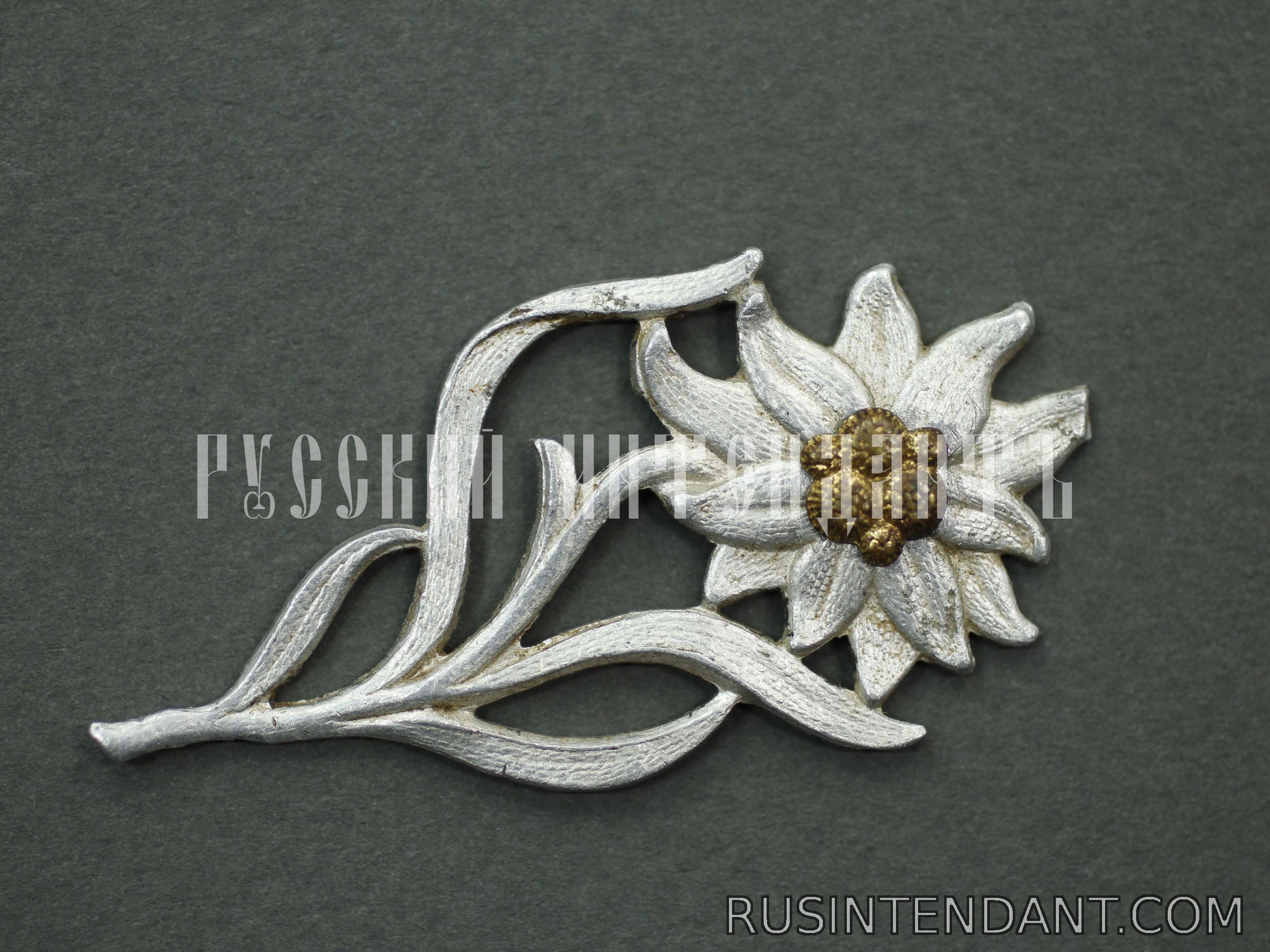 Фото 1: Эмблема на головной убор штурмовиков СА 