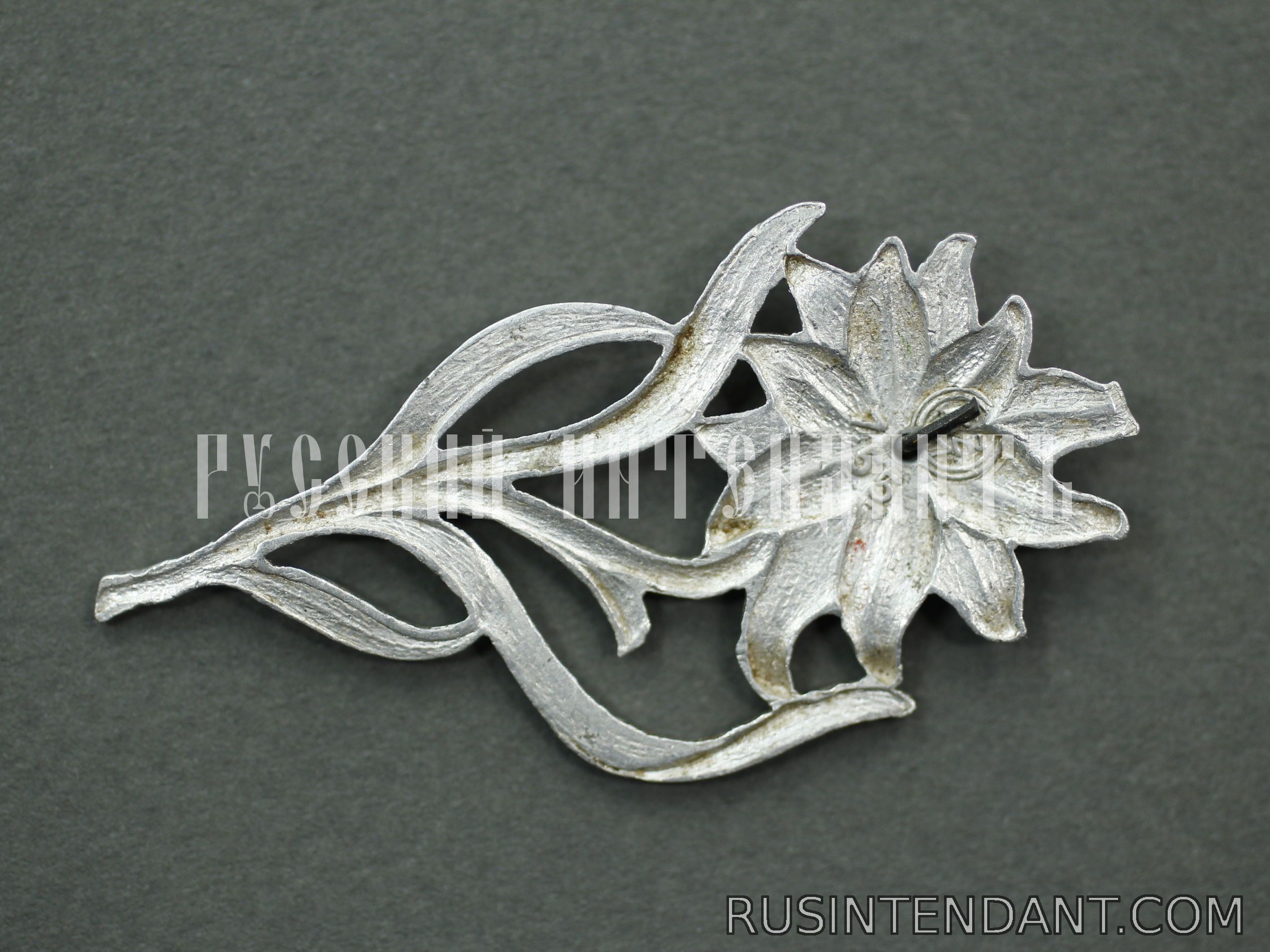 Фото 2: Эмблема на головной убор штурмовиков СА 